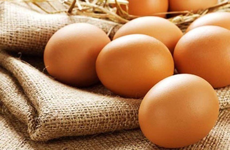 12 Loại Thực Phẩm Giúp Tăng Cường Hệ Miễn Dịch Cho Bé Yêu 12 Loại Thực Phẩm Giúp Tăng Cường Hệ Miễn Dịch Cho Bé Yêu - TRƯỜNG MẦM NON VOI CON
