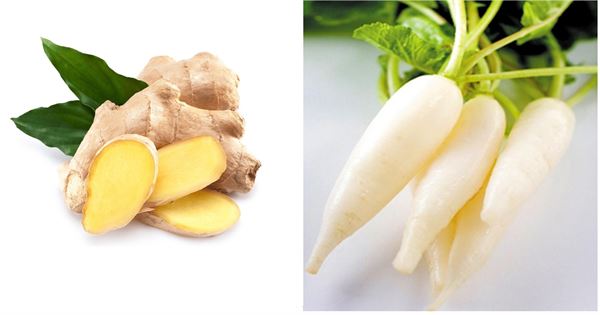 Cách Trị Ho Cho Trẻ Từ Bài Thuốc Dân Gian - TRƯỜNG MẦM NON VOI CON