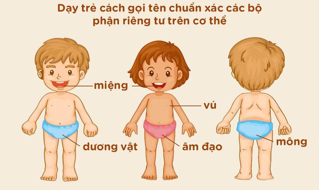 10 Nguyên Tắc Giáo Dục Giới Tính Cha Mẹ Cần Dạy Bé - TRƯỜNG MẦM NON VOI CON
