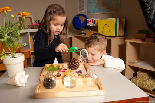 Trẻ Học Tư Duy Sáng Tạo Với Phương Pháp Reggio Emilia Trẻ Học Tư Duy Sáng Tạo Với Phương Pháp Reggio Emilia - TRƯỜNG MẦM NON VOI CON