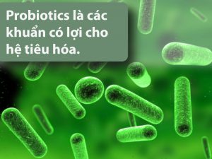 Những Lợi Ích Của Probiotics Cho Bé Yêu - TRƯỜNG MẦM NON VOI CON