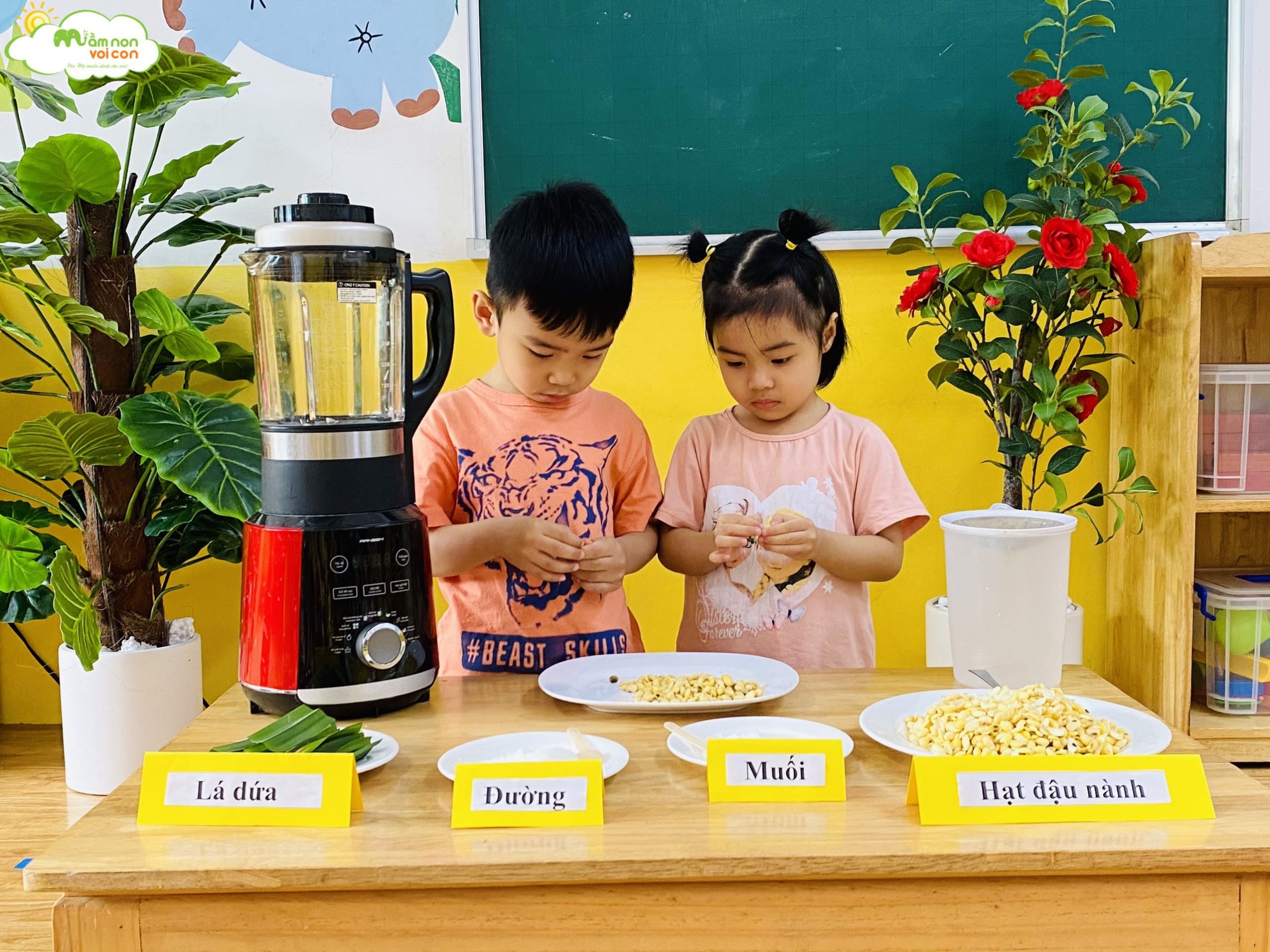 Hoạt Động Trải Nghiệm: "Làm Sữa Đậu Nành Lá Dứa" Lớp E5 - TRƯỜNG MẦM NON VOI CON