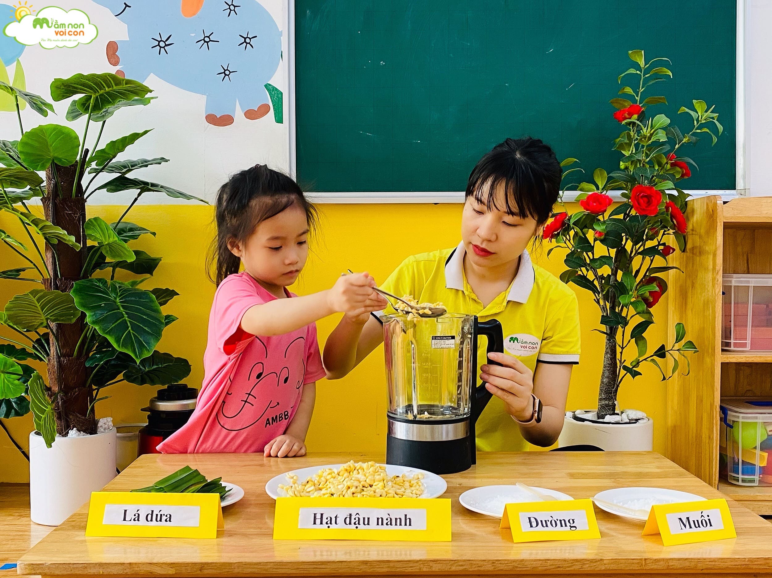 Hoạt Động Trải Nghiệm: "Làm Sữa Đậu Nành Lá Dứa" Lớp E5 - TRƯỜNG MẦM NON VOI CON