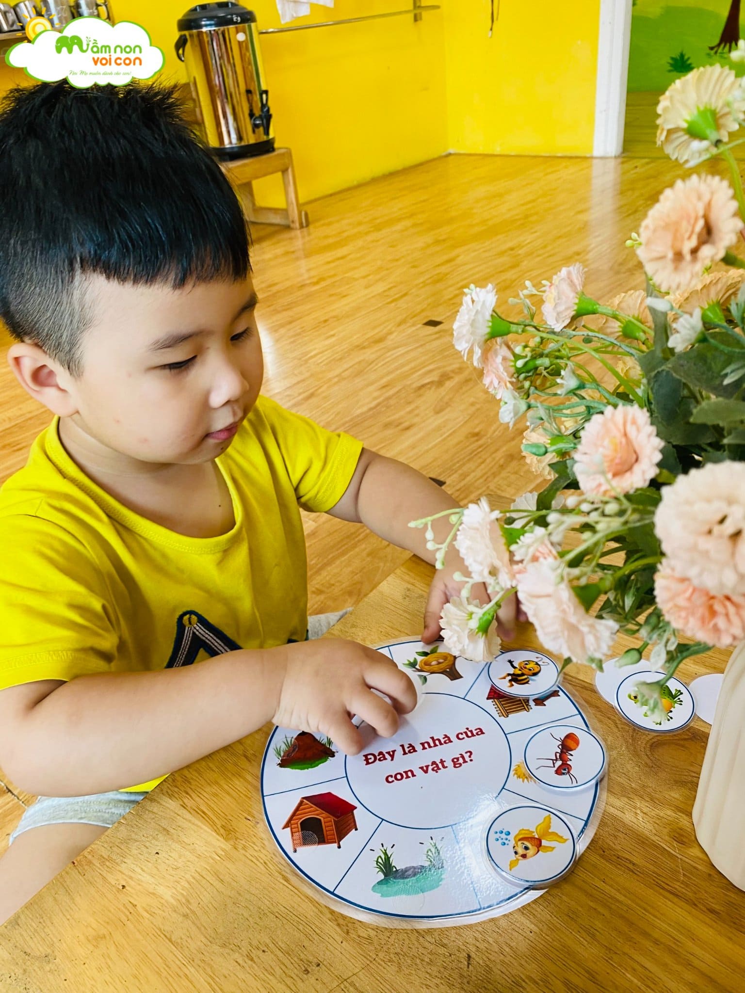 Tìm Hình Với Bóng Phù Hợp Lớp E6 - TRƯỜNG MẦM NON VOI CON