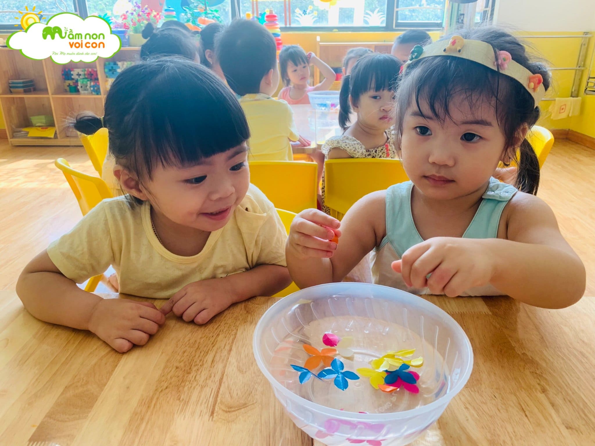 Thí Nghiệm Hoa Nở Trong Nước Lớp E2 - TRƯỜNG MẦM NON VOI CON