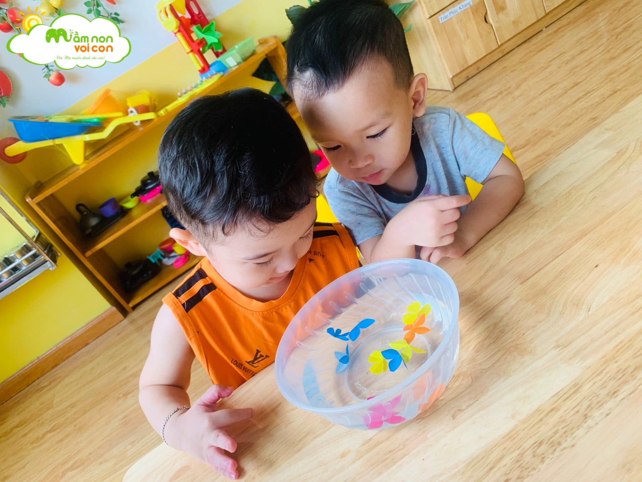 Thí Nghiệm Hoa Nở Trong Nước Lớp E2 - TRƯỜNG MẦM NON VOI CON