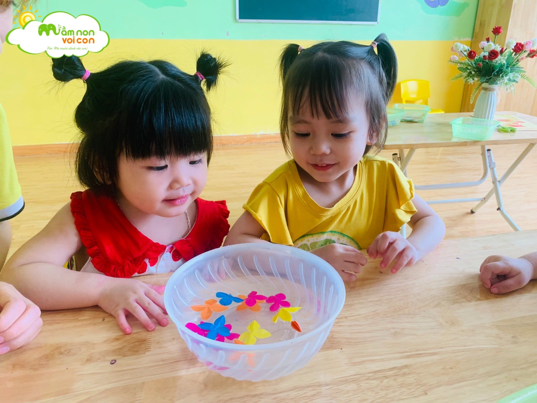 Thí Nghiệm Hoa Nở Trong Nước Lớp E2 - TRƯỜNG MẦM NON VOI CON