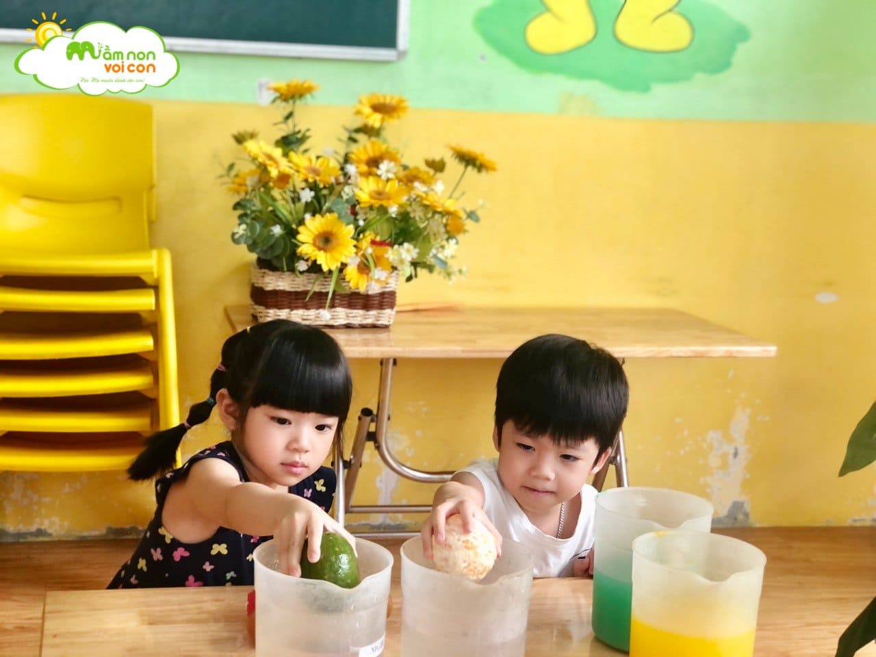 Khoa Học Vui: Vật Nổi - Vật Chìm - TRƯỜNG MẦM NON VOI CON