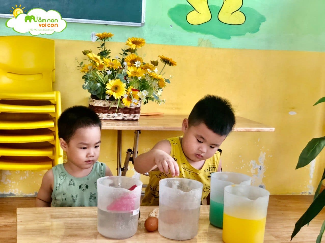 Khoa Học Vui: Vật Nổi - Vật Chìm - TRƯỜNG MẦM NON VOI CON