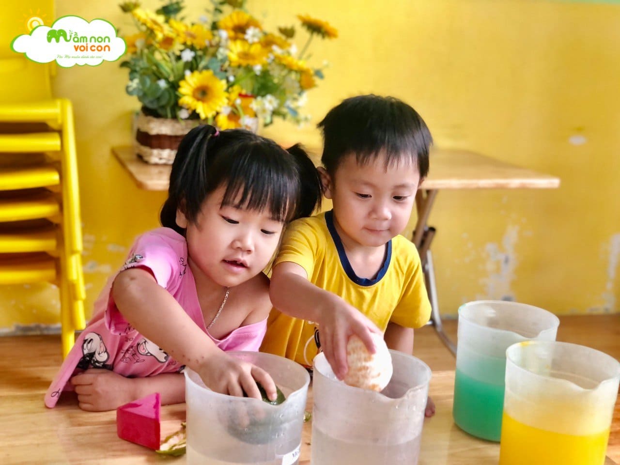 Khoa Học Vui: Vật Nổi - Vật Chìm - TRƯỜNG MẦM NON VOI CON