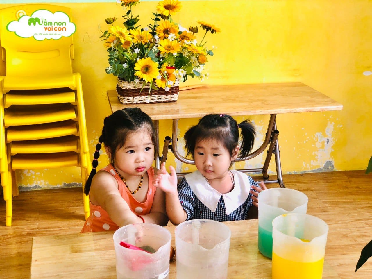 Khoa Học Vui: Vật Nổi - Vật Chìm - TRƯỜNG MẦM NON VOI CON