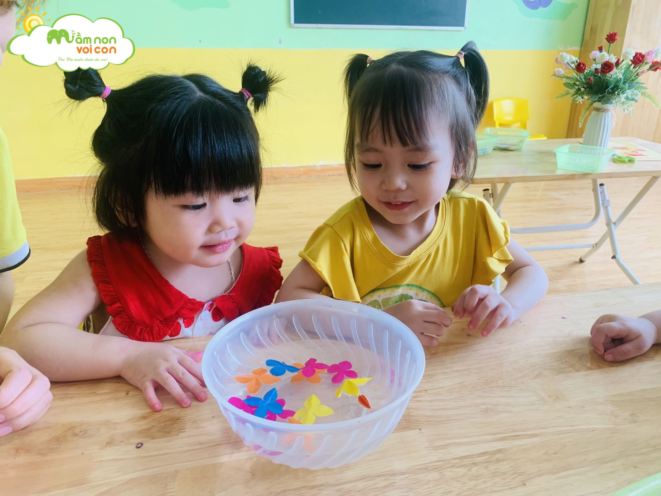 Thí Nghiệm Hoa Nở Trong Nước Lớp E2 - TRƯỜNG MẦM NON VOI CON