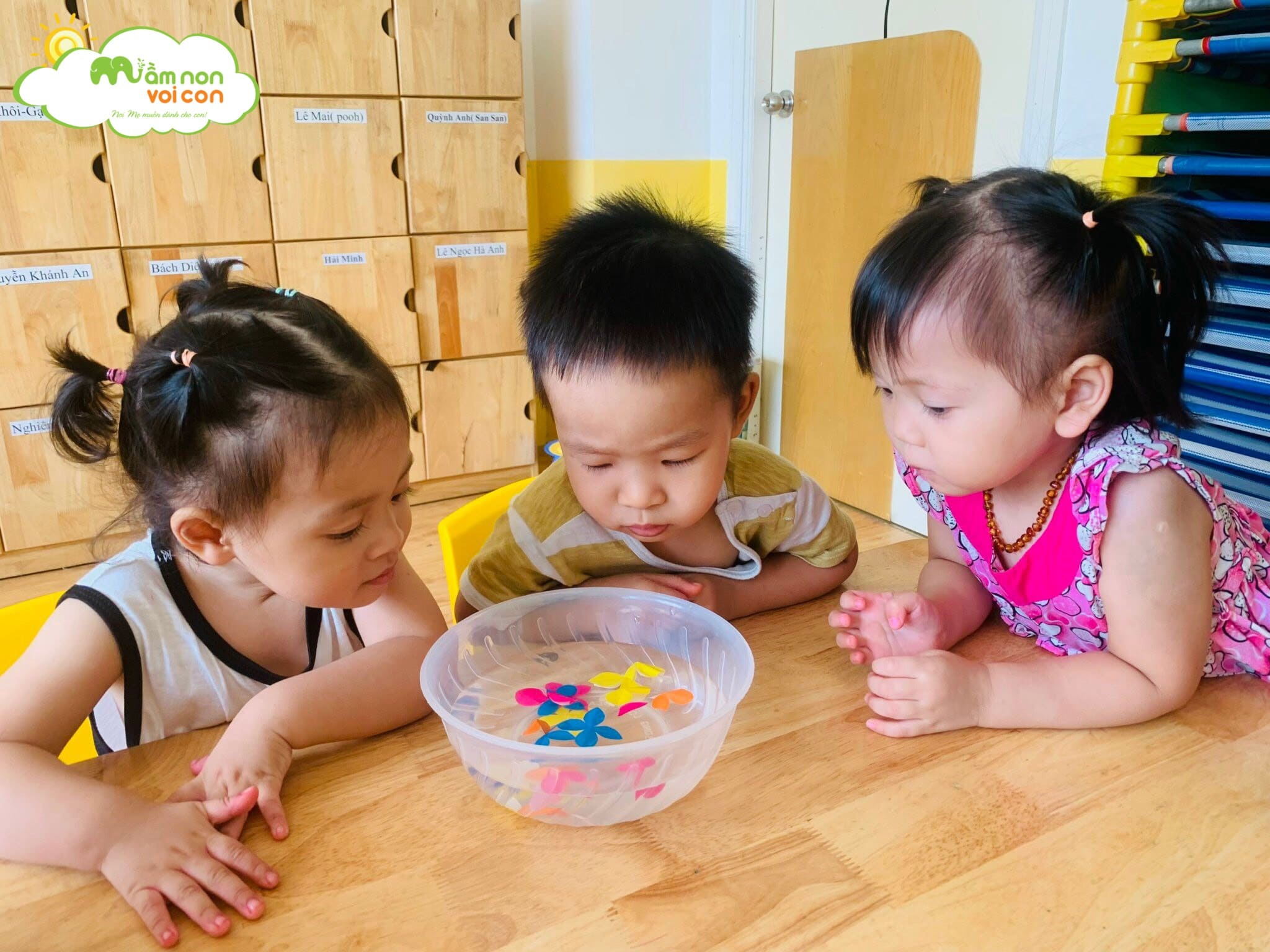 Thí Nghiệm Hoa Nở Trong Nước Lớp E2 - TRƯỜNG MẦM NON VOI CON