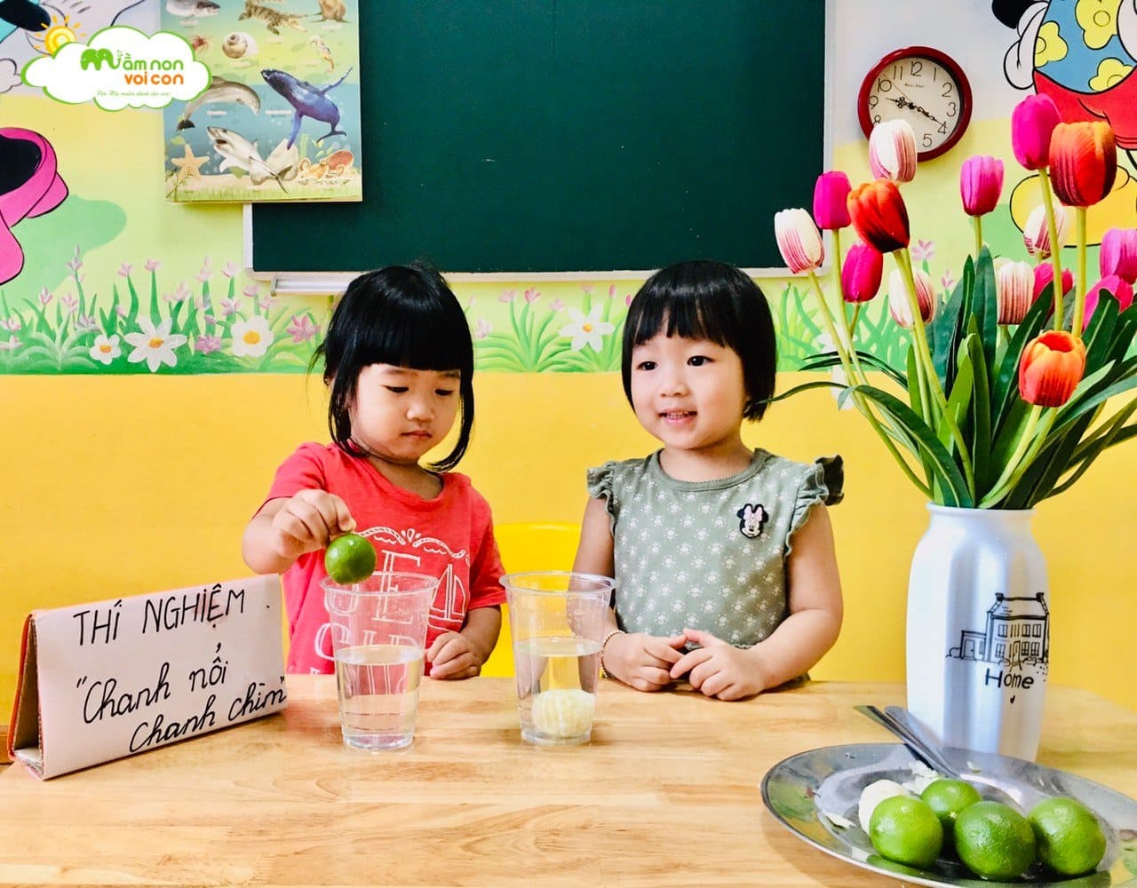 Thí Nghiệm Chanh Nổi Chanh Chìm Thí Nghiệm Chanh Nổi Chanh Chìm - TRƯỜNG MẦM NON VOI CON