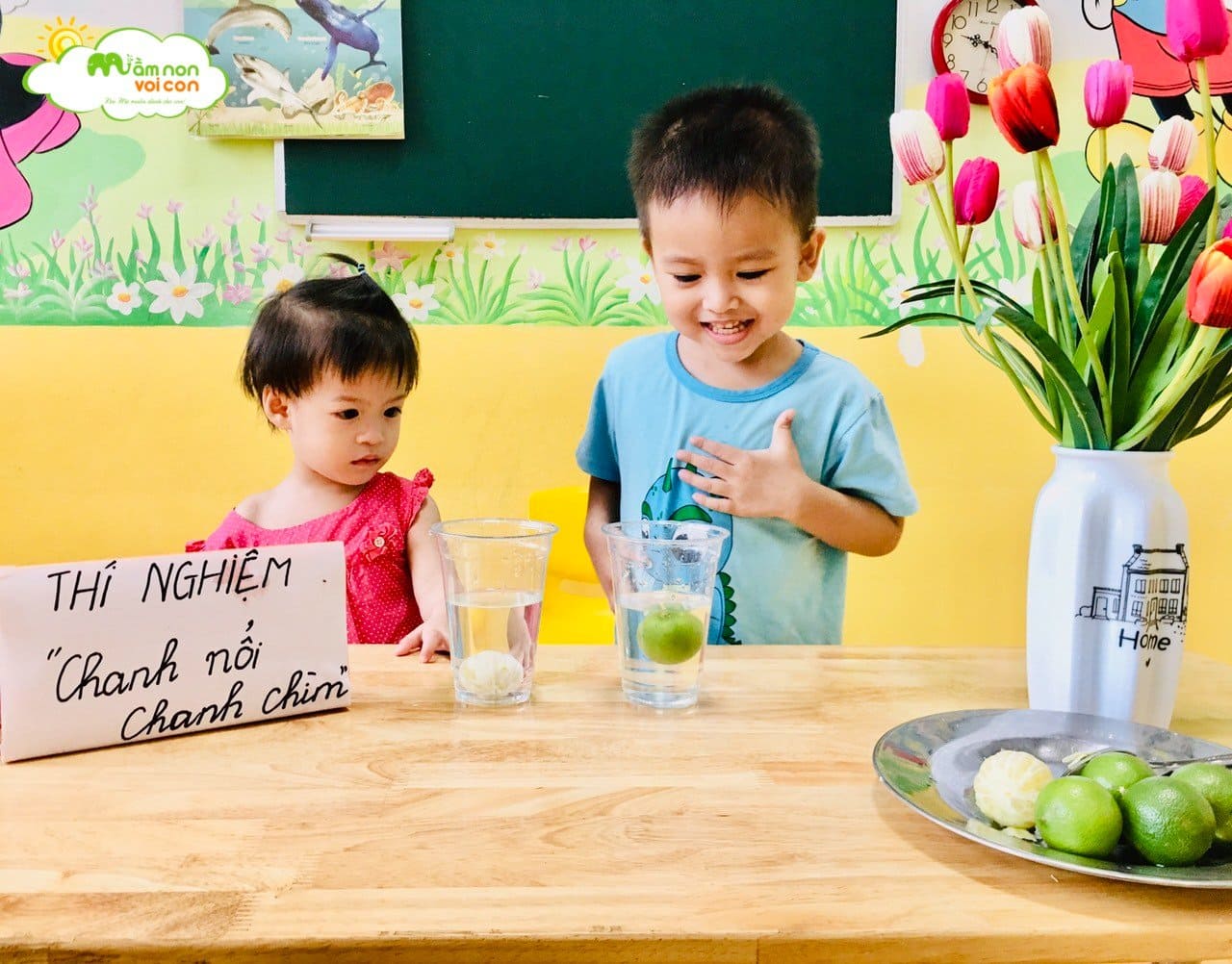 Thí Nghiệm Chanh Nổi Chanh Chìm Thí Nghiệm Chanh Nổi Chanh Chìm - TRƯỜNG MẦM NON VOI CON