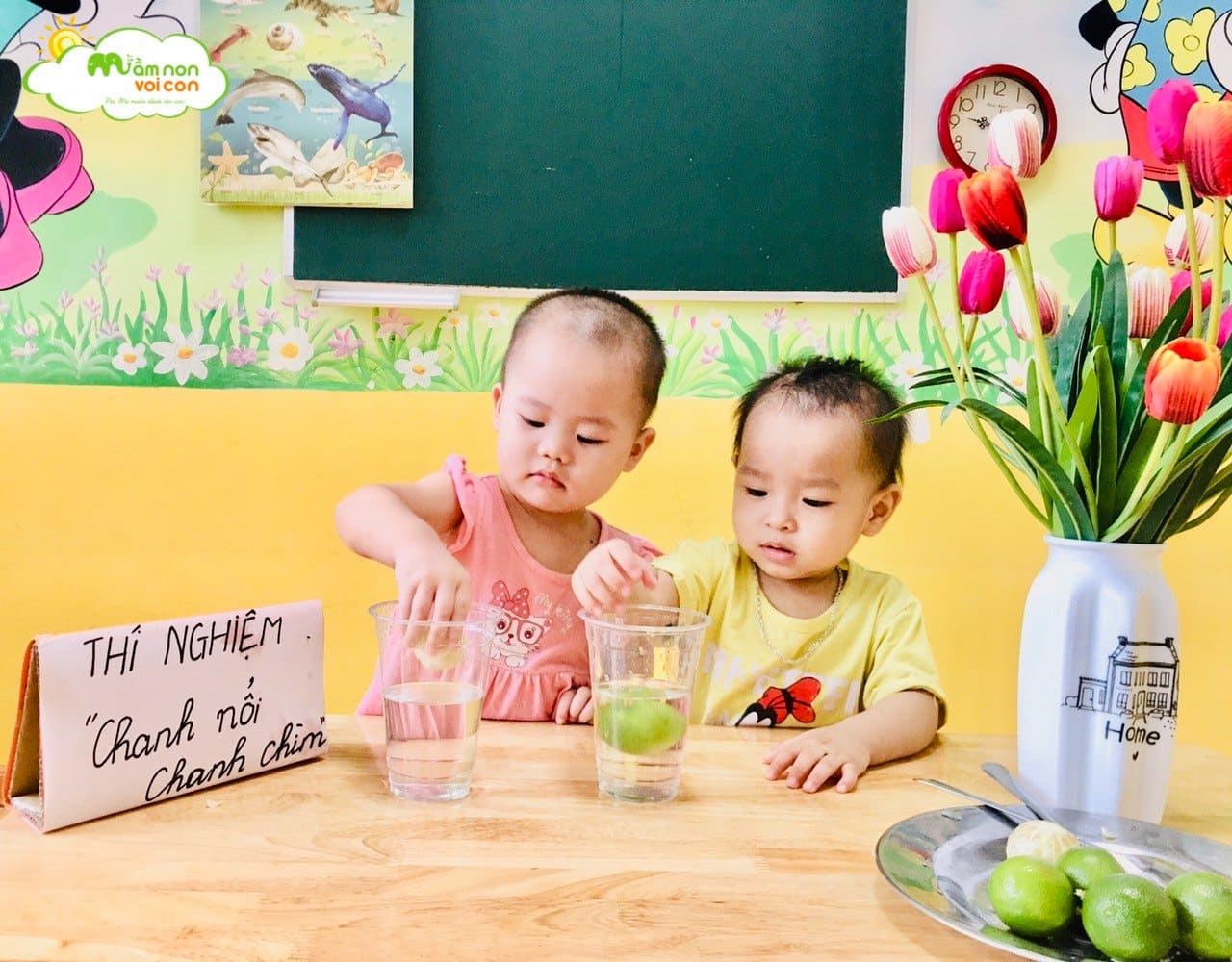 Thí Nghiệm Chanh Nổi Chanh Chìm Thí Nghiệm Chanh Nổi Chanh Chìm - TRƯỜNG MẦM NON VOI CON