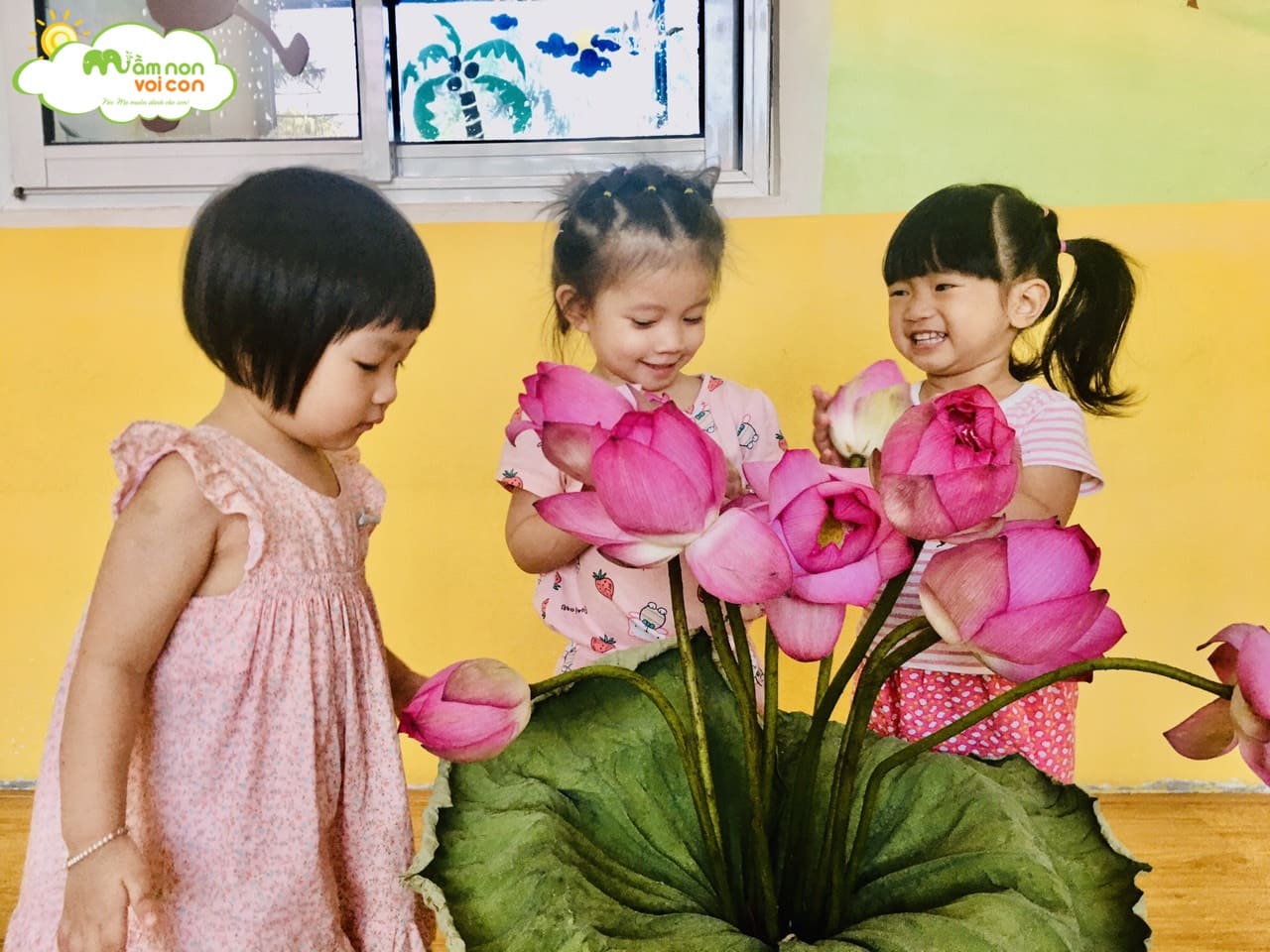 Tìm Hiểu Về Hoa Sen Lớp E1 - TRƯỜNG MẦM NON VOI CON