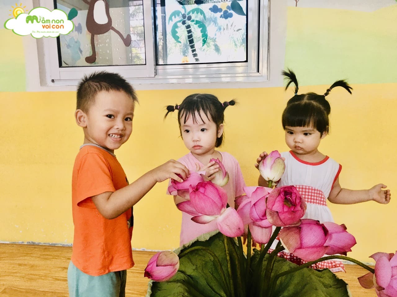 Tìm Hiểu Về Hoa Sen Lớp E1 - TRƯỜNG MẦM NON VOI CON