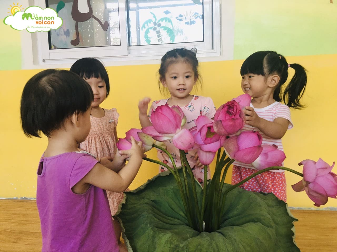 Tìm Hiểu Về Hoa Sen Lớp E1 - TRƯỜNG MẦM NON VOI CON