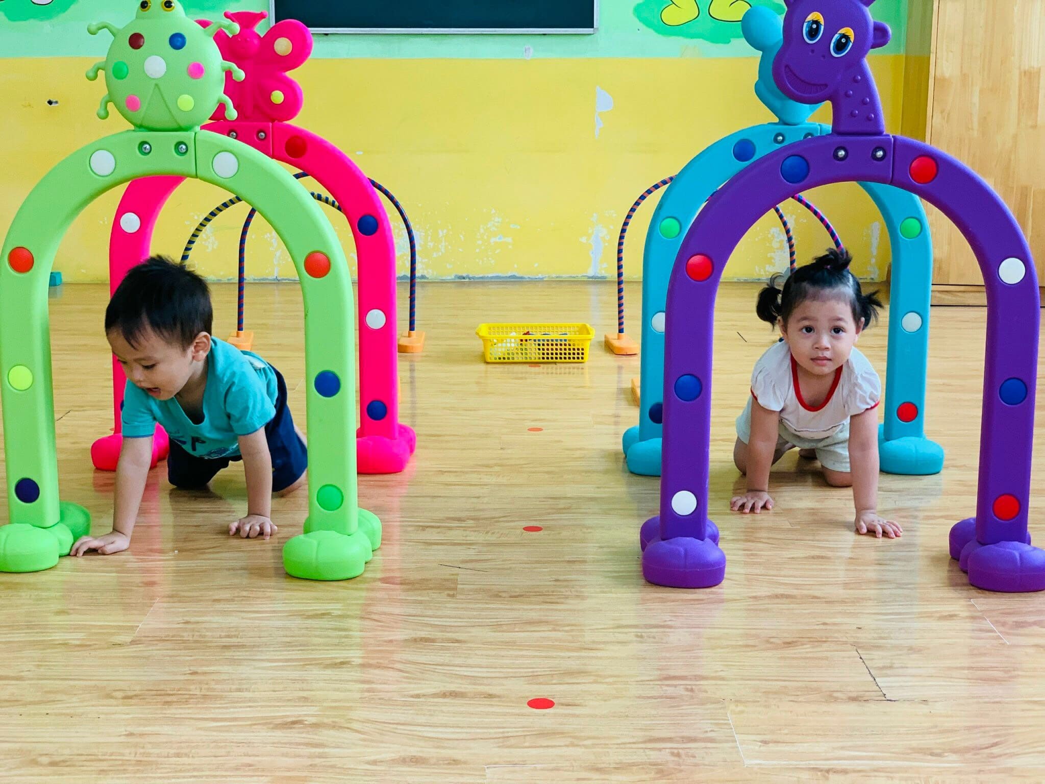 Hoạt Động Thể Chất Bò Có Mang Vật Trên Lưng - TRƯỜNG MẦM NON VOI CON