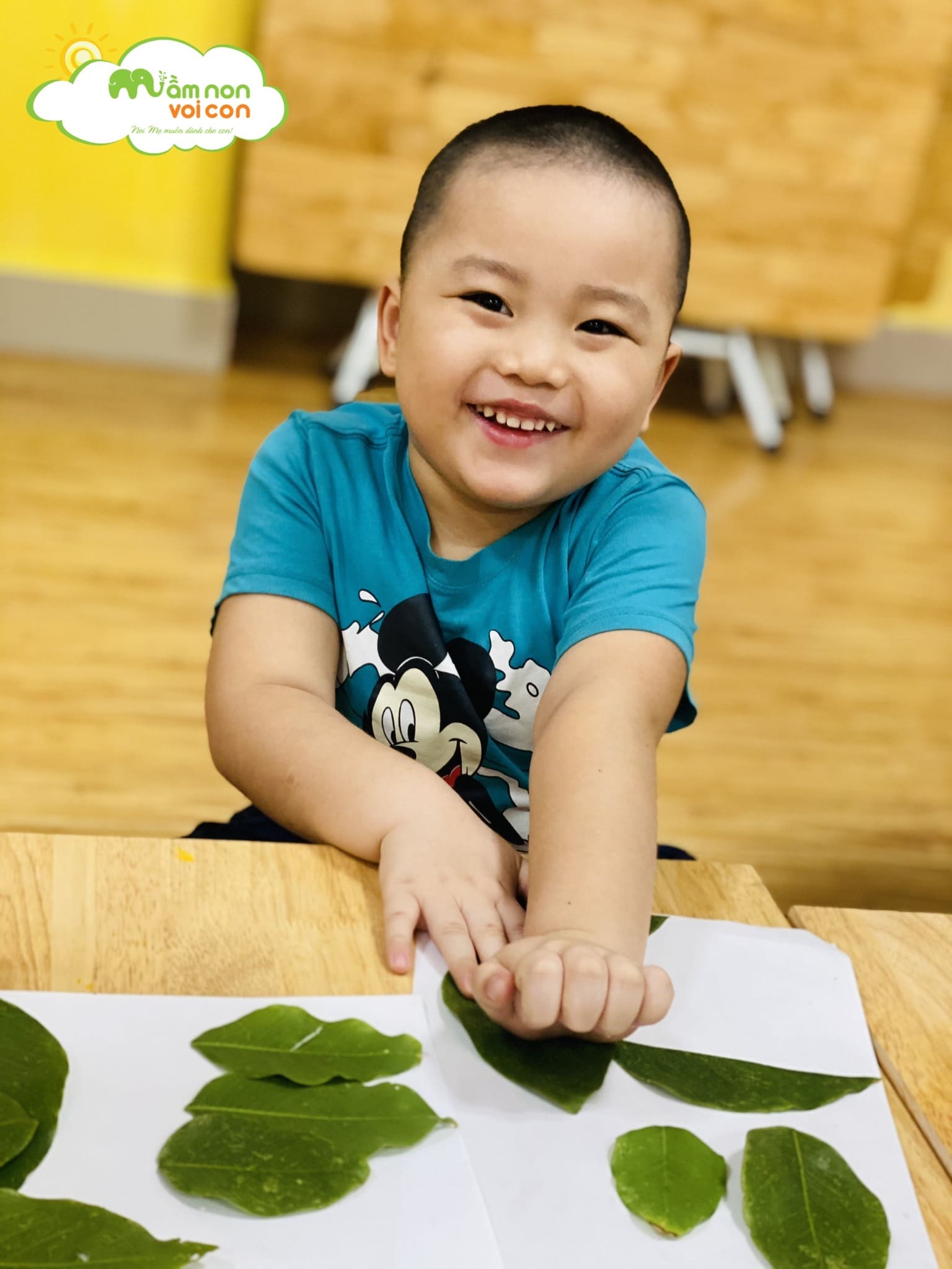 Sáng Tạo Bức Tranh Từ Chiếc Lá - TRƯỜNG MẦM NON VOI CON