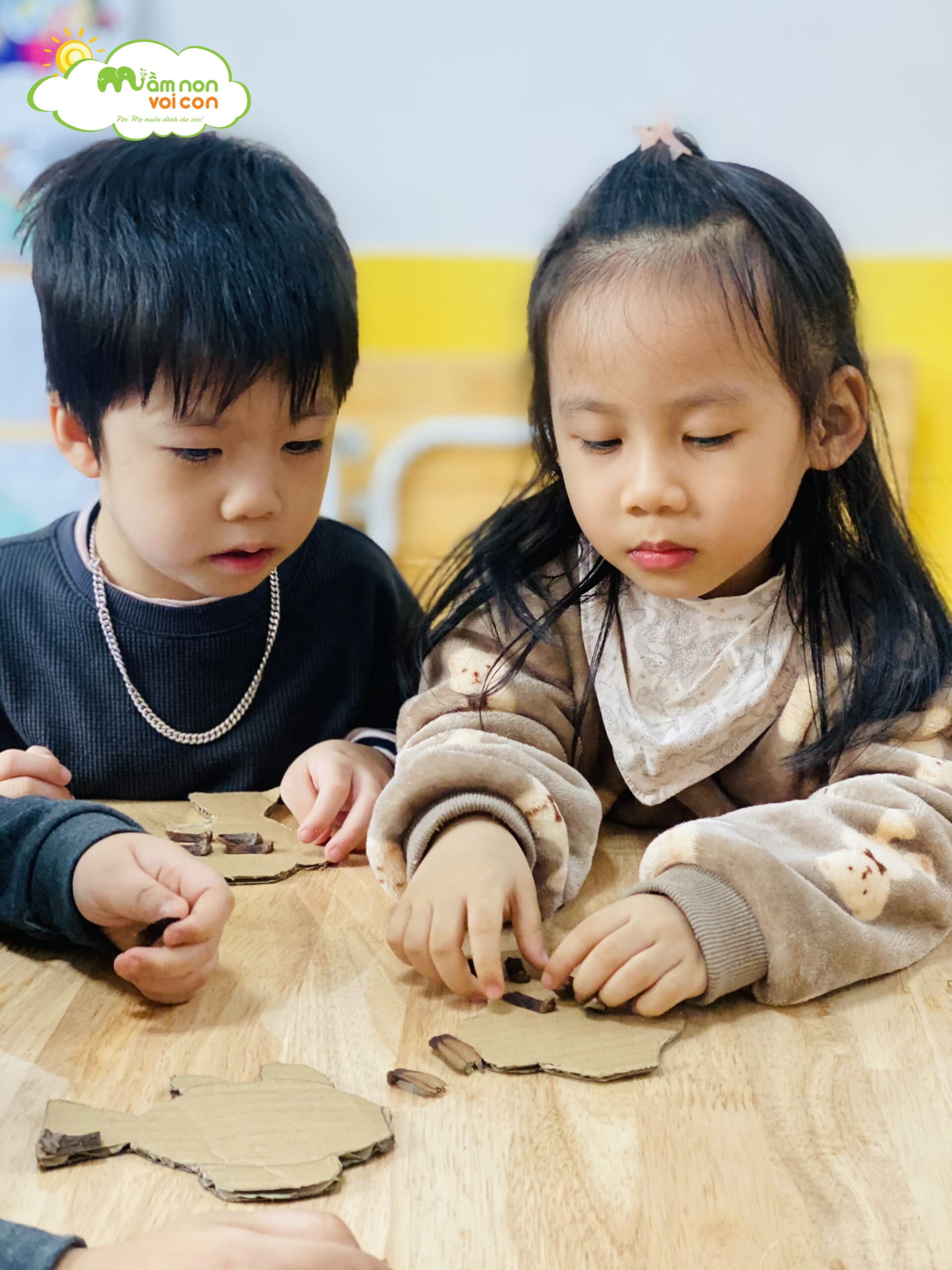 Tạo Hình Con Cá Từ Quả Thông Và Bìa Carton - TRƯỜNG MẦM NON VOI CON