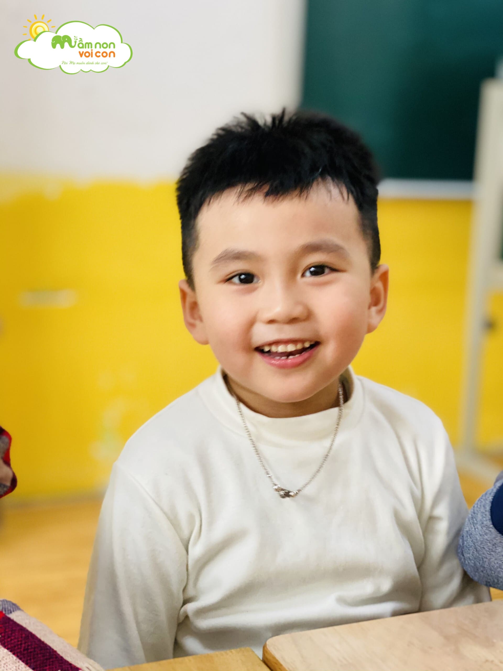 Tạo Hình Con Cá Từ Quả Thông Và Bìa Carton - TRƯỜNG MẦM NON VOI CON