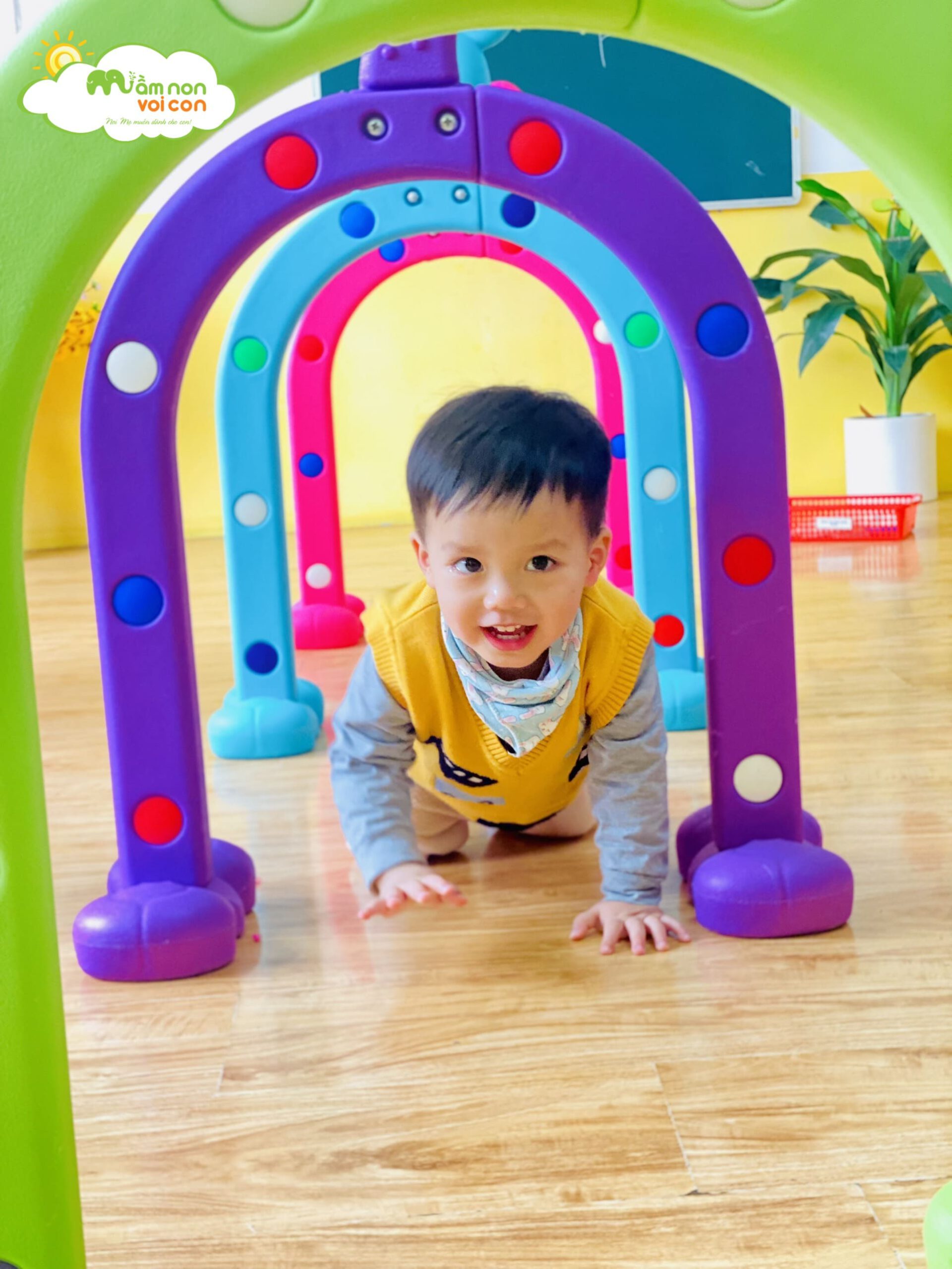 HOẠT ĐỘNG THỂ CHẤT: BÒ CÓ MANG VẬT TRÊN LƯNG - TRƯỜNG MẦM NON VOI CON