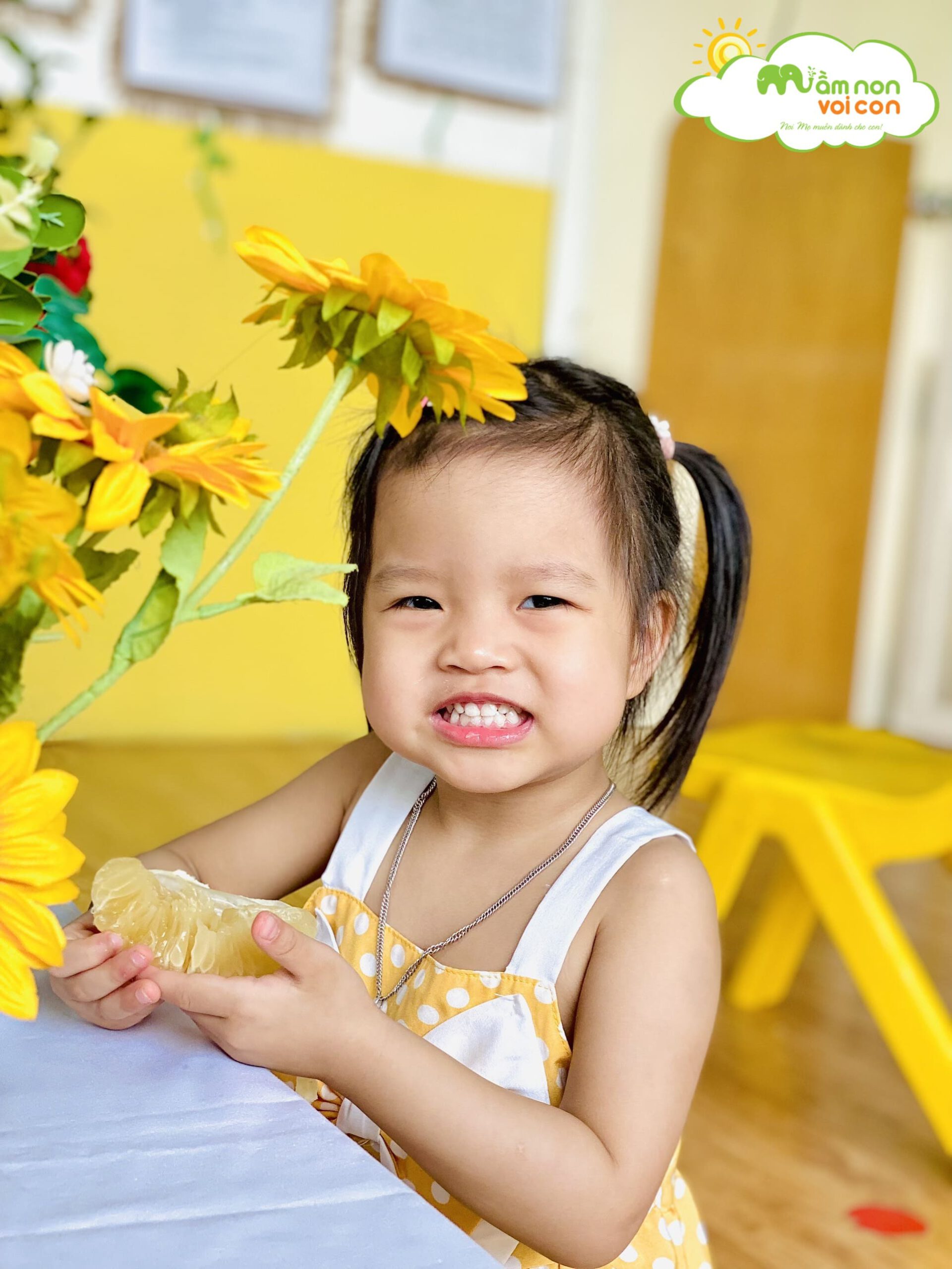 Khám Phá Khoa Học: Khám Phá Một Số Loại Quả Mà Bé Thích Khám Phá Khoa Học: Khám Phá Một Số Loại Quả Mà Bé Thích - TRƯỜNG MẦM NON VOI CON