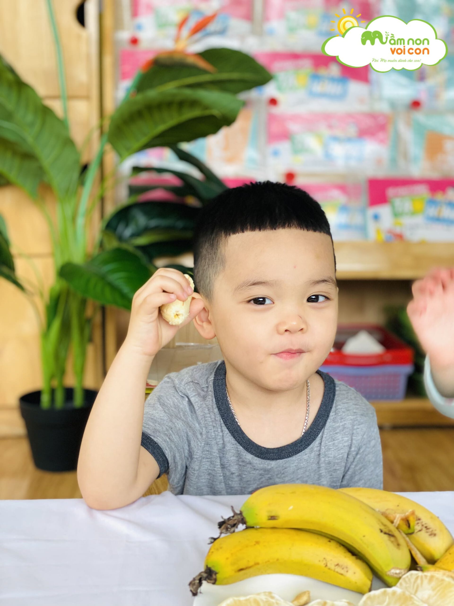 Khám Phá Khoa Học: Khám Phá Một Số Loại Quả Mà Bé Thích Khám Phá Khoa Học: Khám Phá Một Số Loại Quả Mà Bé Thích - TRƯỜNG MẦM NON VOI CON