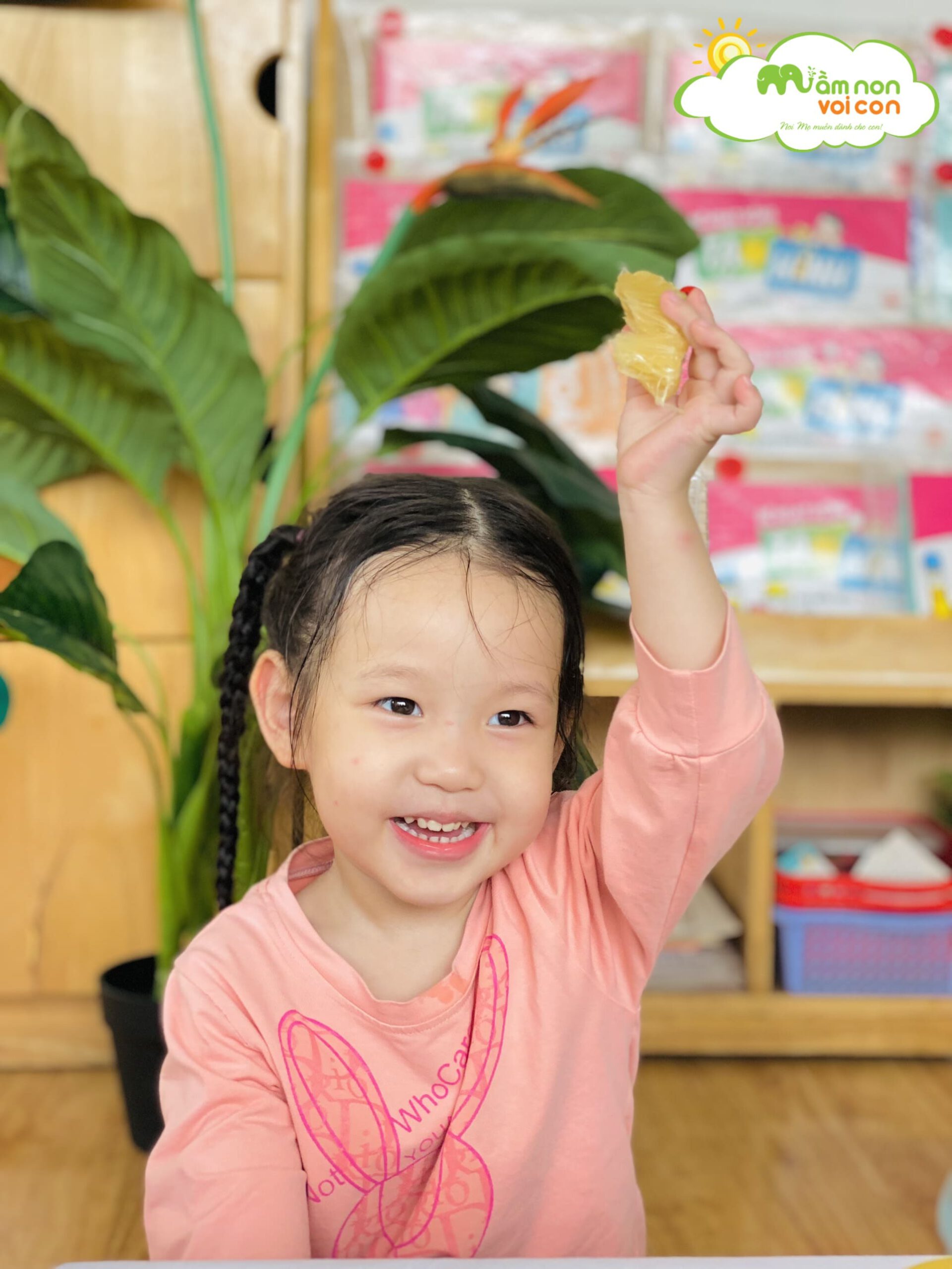 Khám Phá Khoa Học: Khám Phá Một Số Loại Quả Mà Bé Thích Khám Phá Khoa Học: Khám Phá Một Số Loại Quả Mà Bé Thích - TRƯỜNG MẦM NON VOI CON