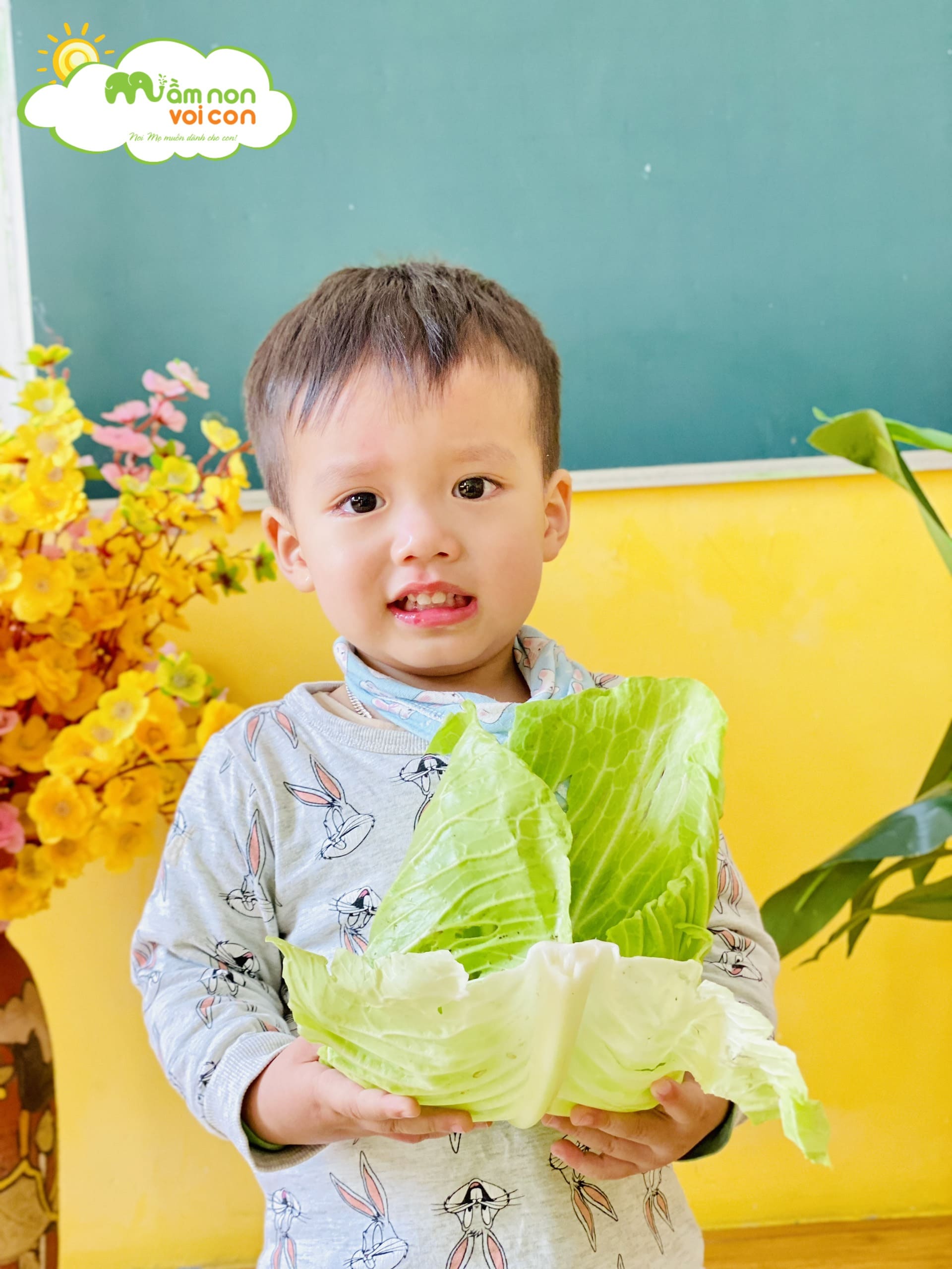 HOẠT ĐỘNG NHẬN BIẾT CÂY BẮP CẢI - TRƯỜNG MẦM NON VOI CON