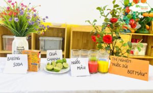 THÍ NGHIỆM: NƯỚC SỦI BỌT MÀU - TRƯỜNG MẦM NON VOI CON