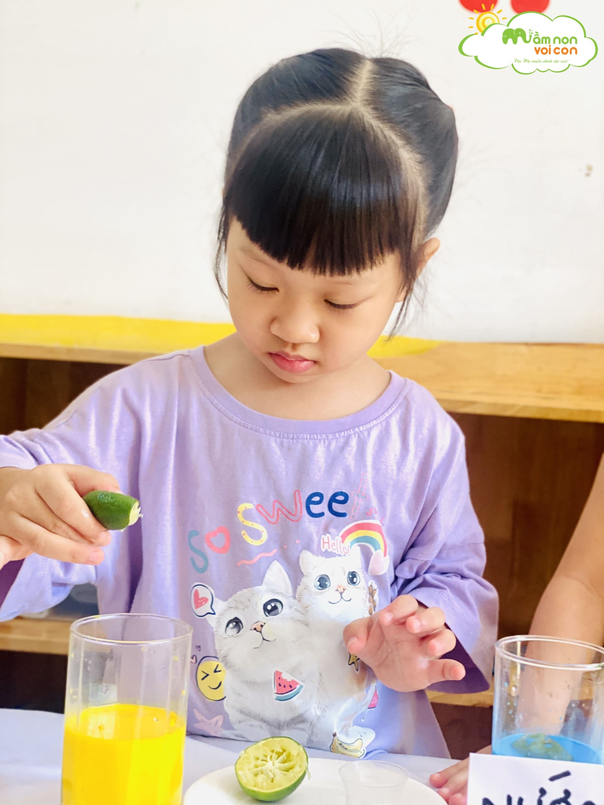 THÍ NGHIỆM: NƯỚC SỦI BỌT MÀU - TRƯỜNG MẦM NON VOI CON