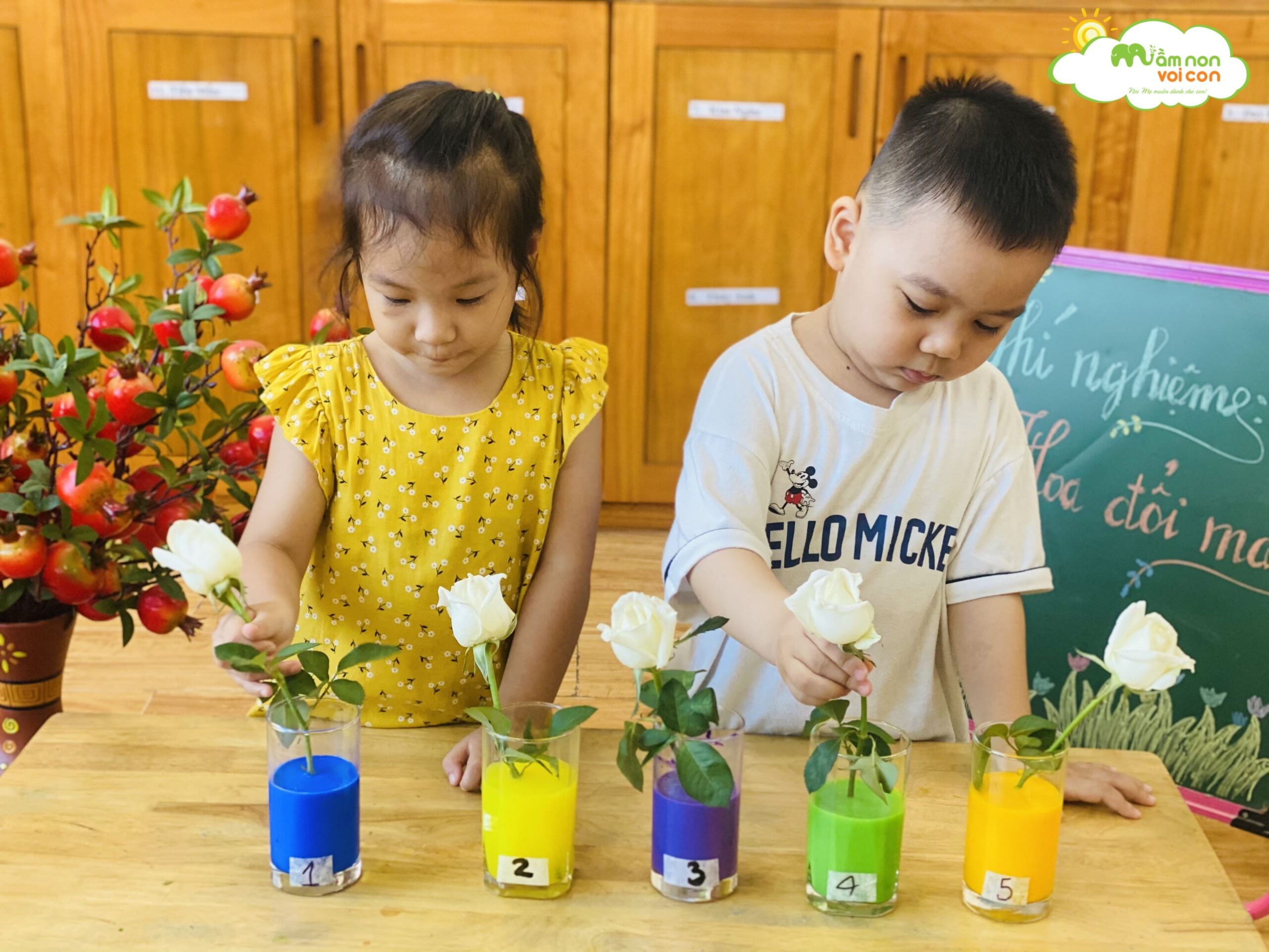 THÍ NGHIỆM HOA ĐỔI MÀU - TRƯỜNG MẦM NON VOI CON