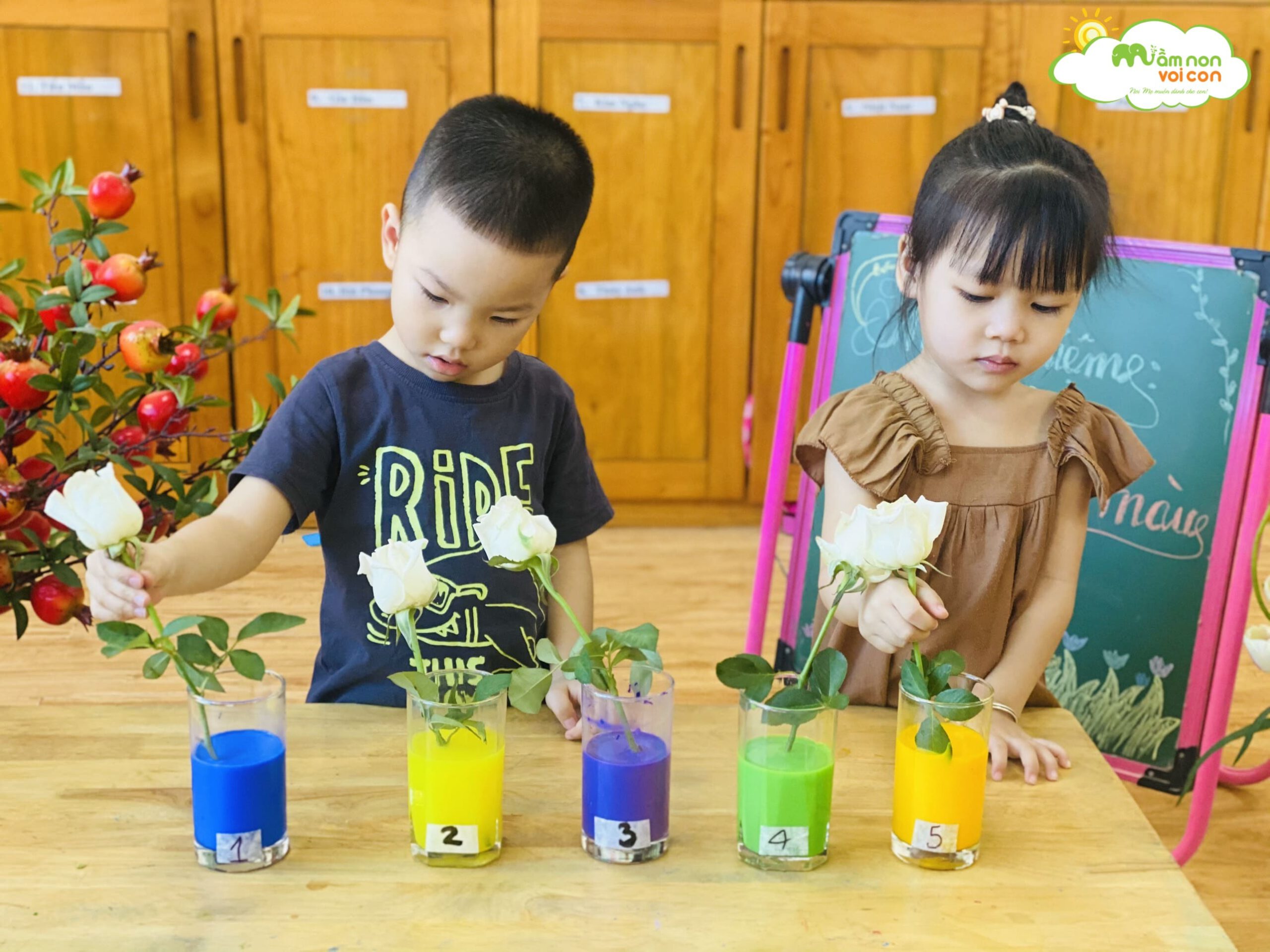 THÍ NGHIỆM HOA ĐỔI MÀU - TRƯỜNG MẦM NON VOI CON