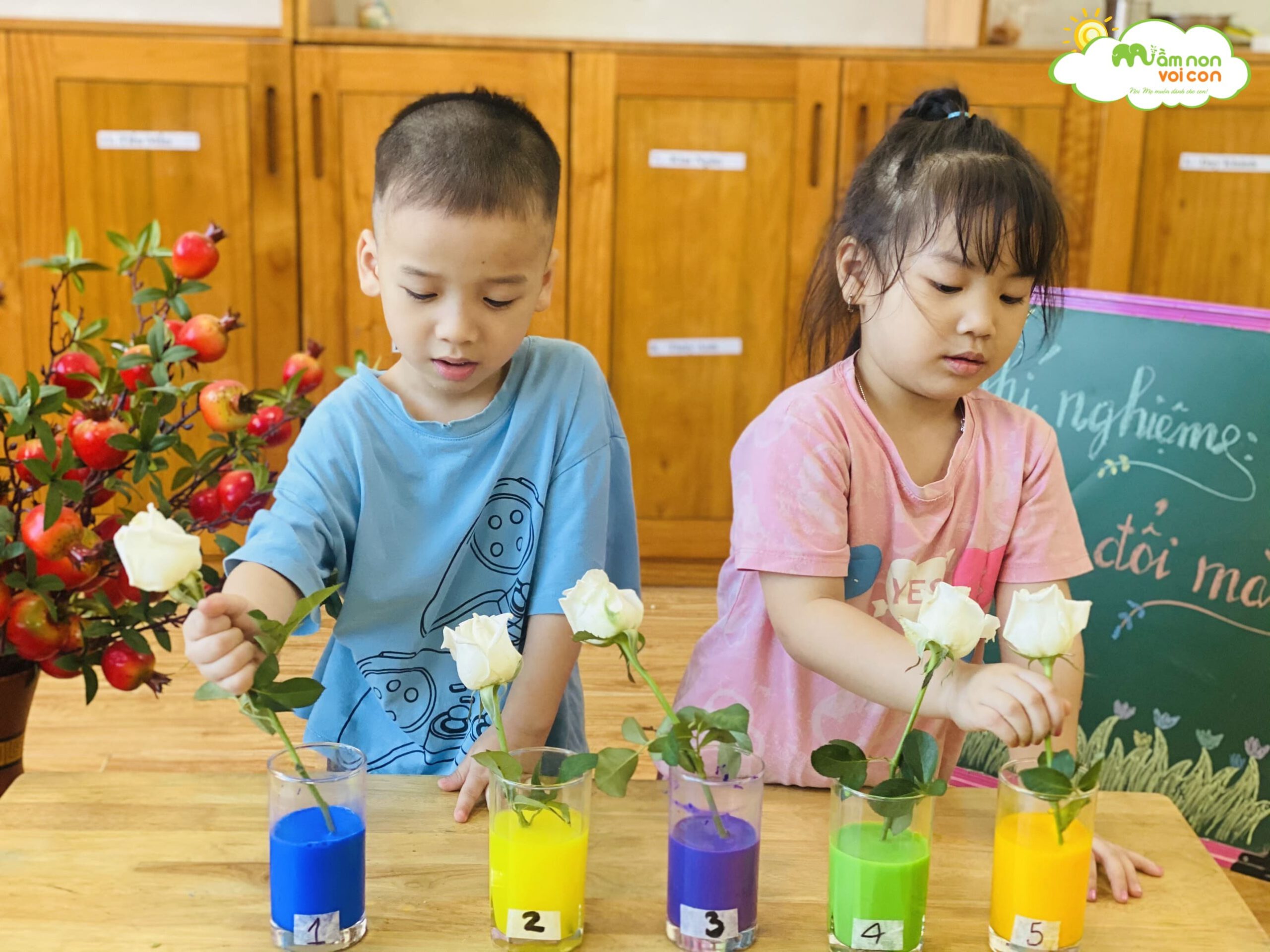 THÍ NGHIỆM HOA ĐỔI MÀU - TRƯỜNG MẦM NON VOI CON