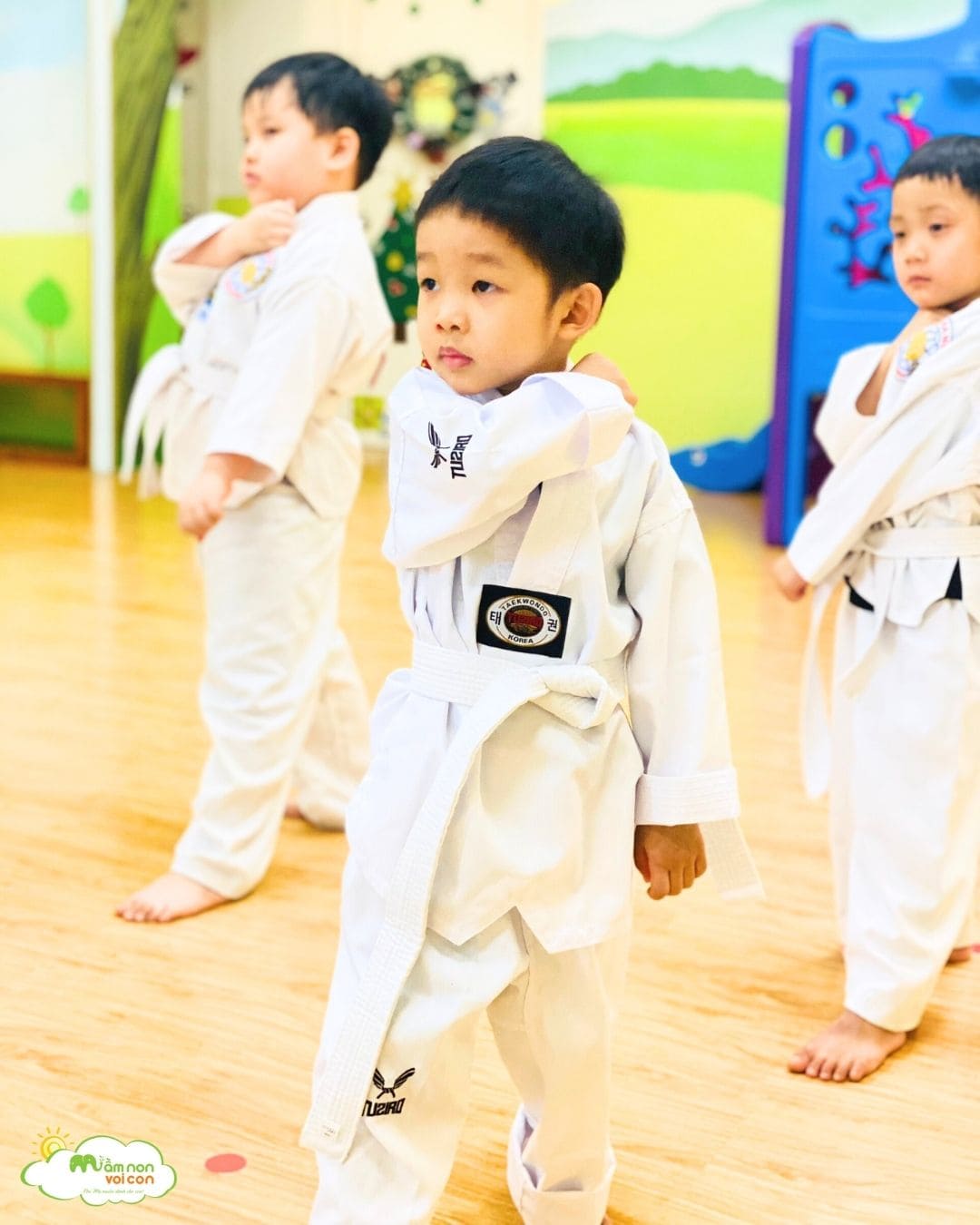 CÂU LẠC BỘ VÕ - TRƯỜNG MẦM NON VOI CON