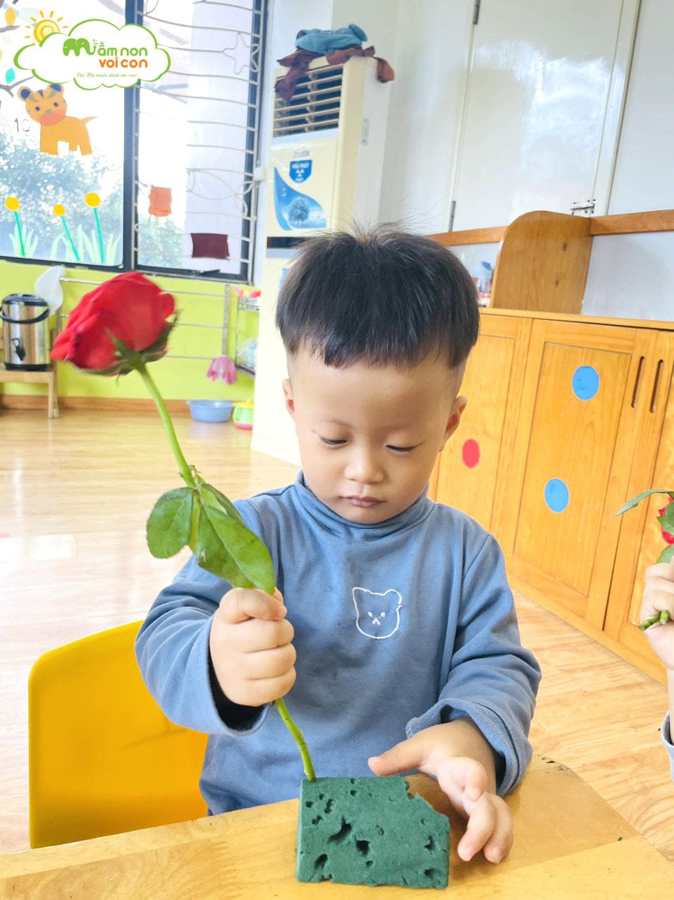 CÁC EM BÉ E3 KHÉO TAY CẮM HOA TẶNG CÁC CÔ NGÀY 20/11 - TRƯỜNG MẦM NON VOI CON