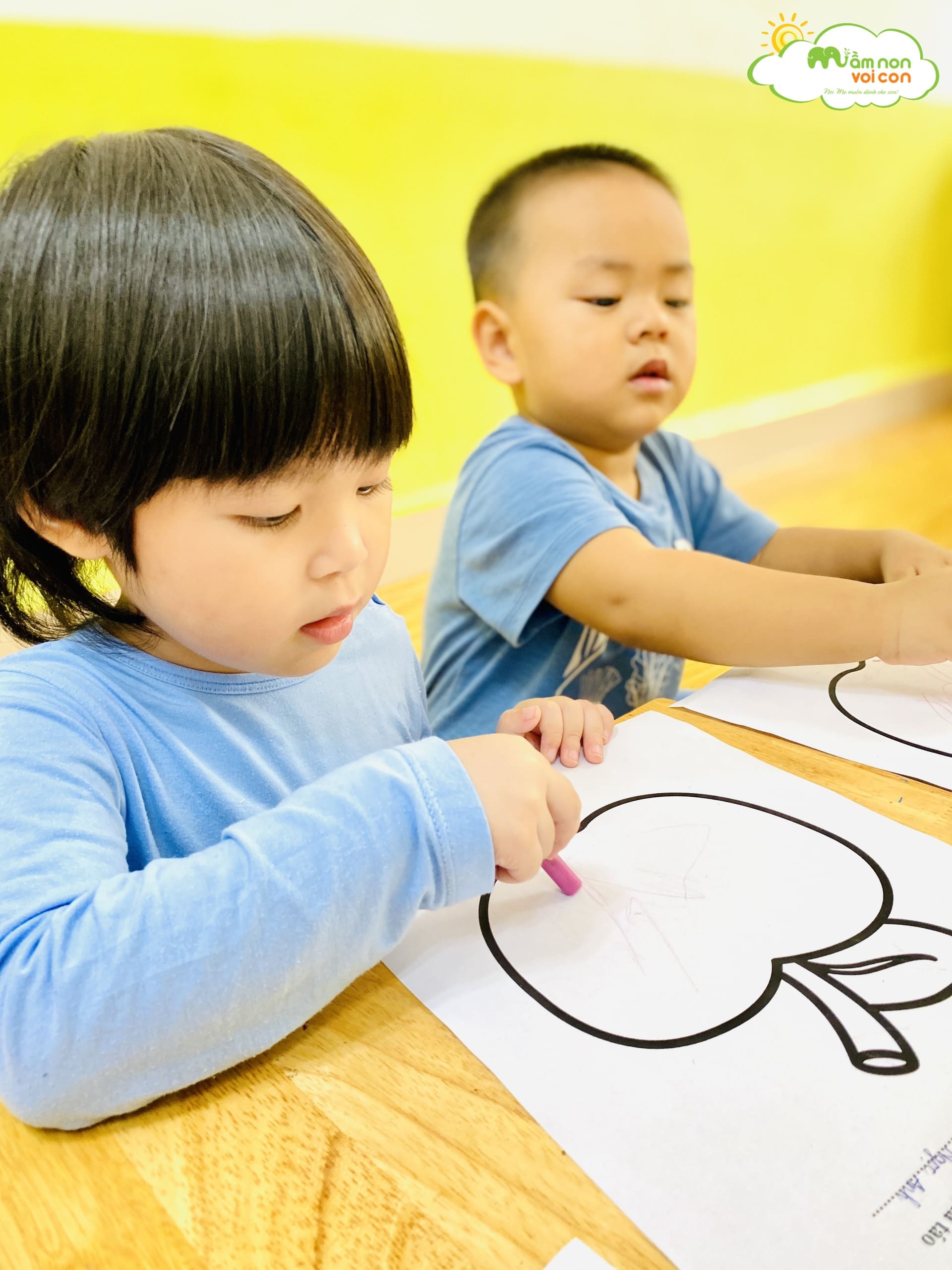 HOẠT ĐỘNG TÔ NÉT: TÔ MÀU QUẢ TÁO - TRƯỜNG MẦM NON VOI CON