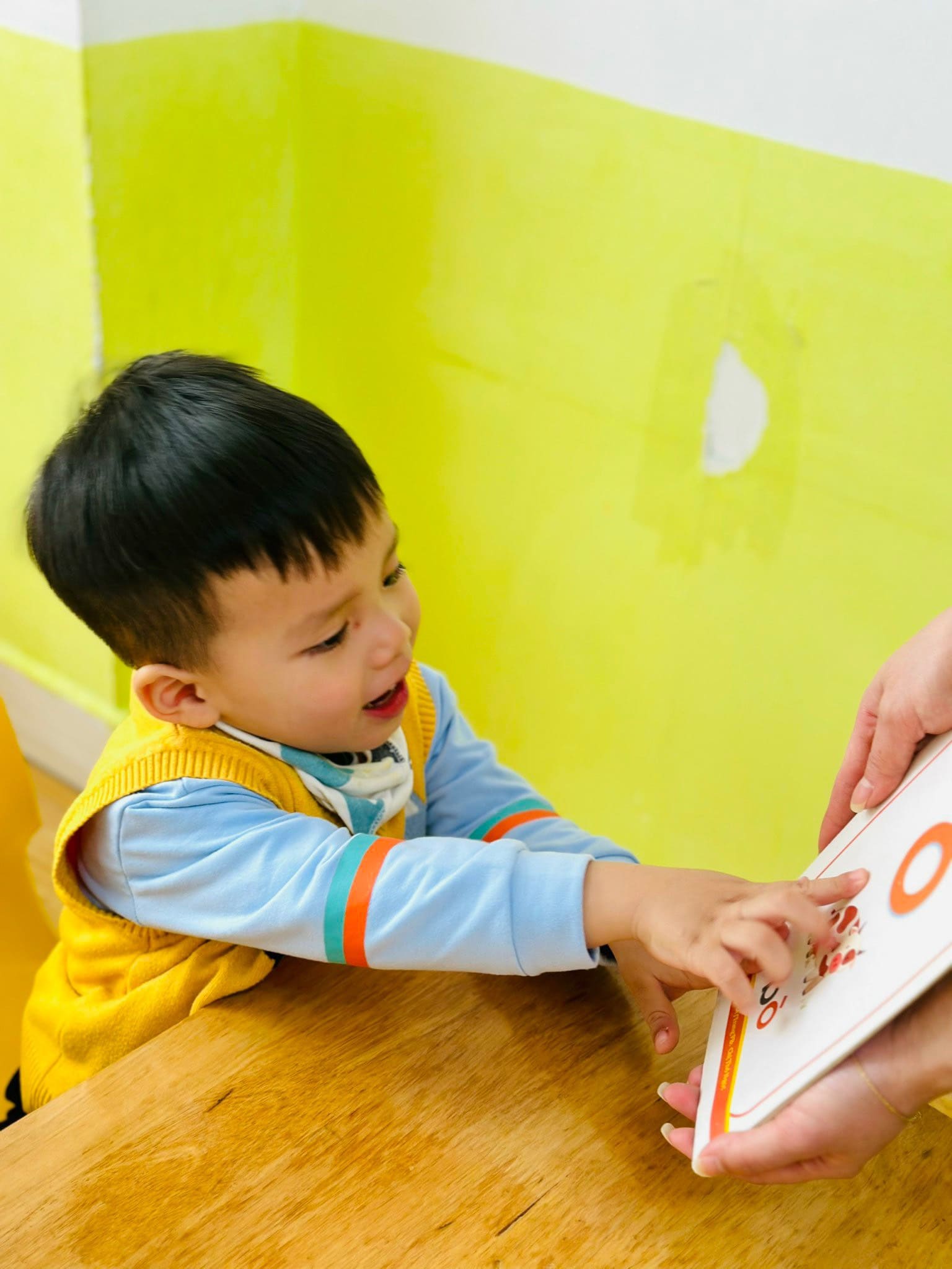 ÔN TẬP VÀ LÀM QUEN CHỮ CÁI - TRƯỜNG MẦM NON VOI CON