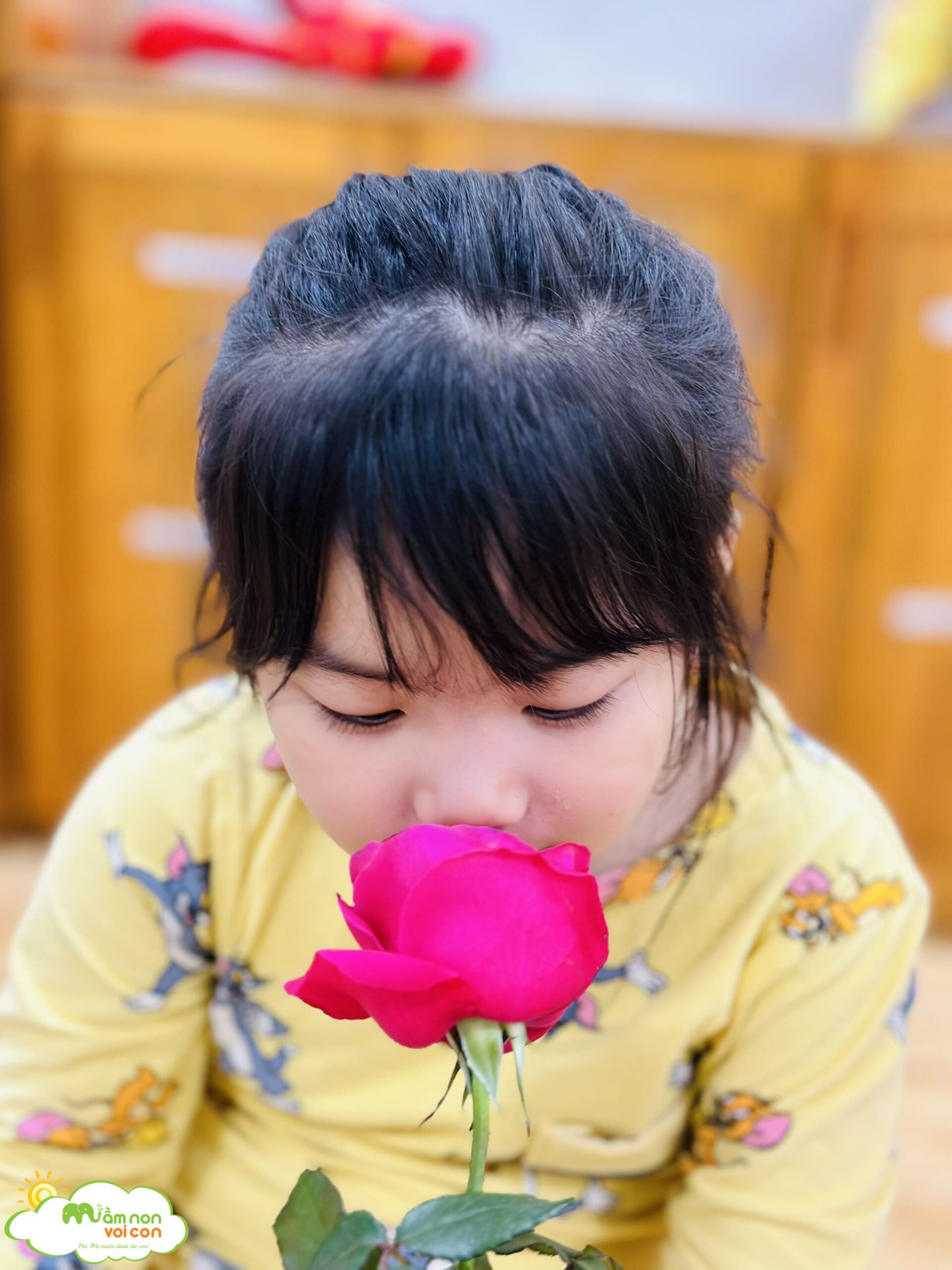 KHÁM PHÁ CÁC LOÀI HOA - TRƯỜNG MẦM NON VOI CON