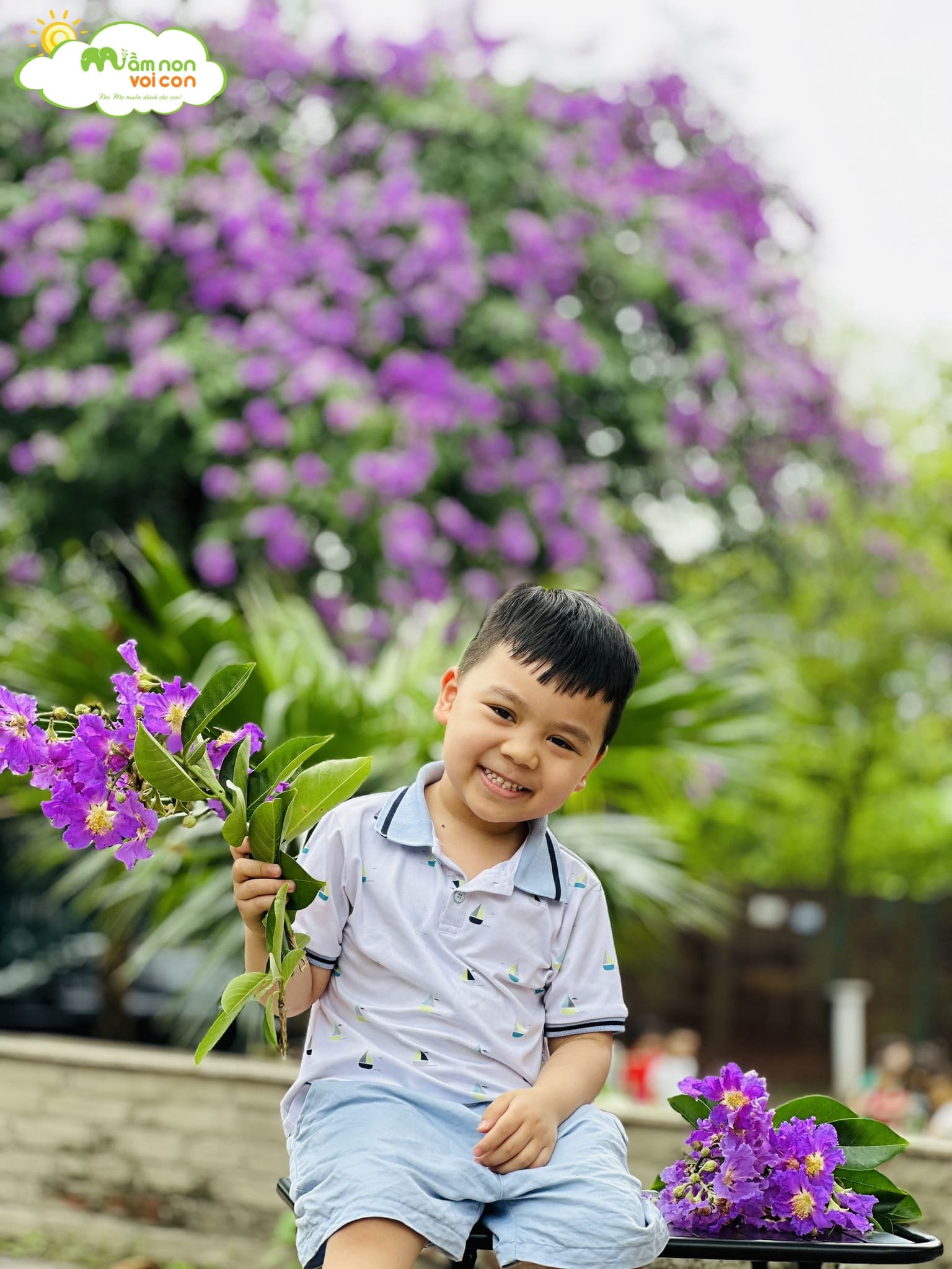 VUI CHƠI NGOÀI TRỜI - TRƯỜNG MẦM NON VOI CON