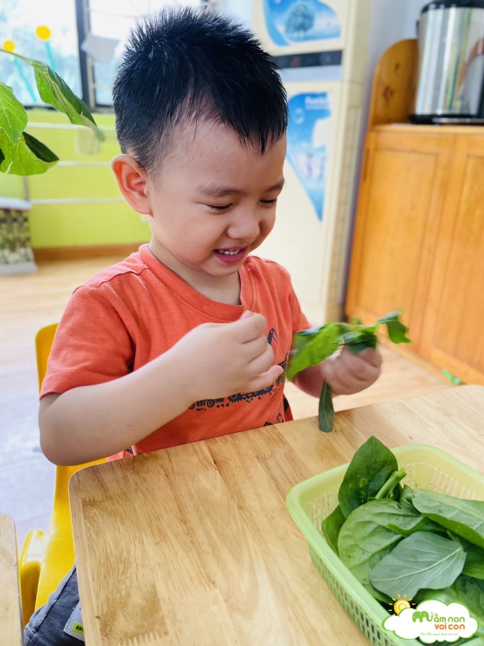 TÌM HIỂU MỘT SỐ LOẠI RAU CỦ MÙA HÈ - TRƯỜNG MẦM NON VOI CON