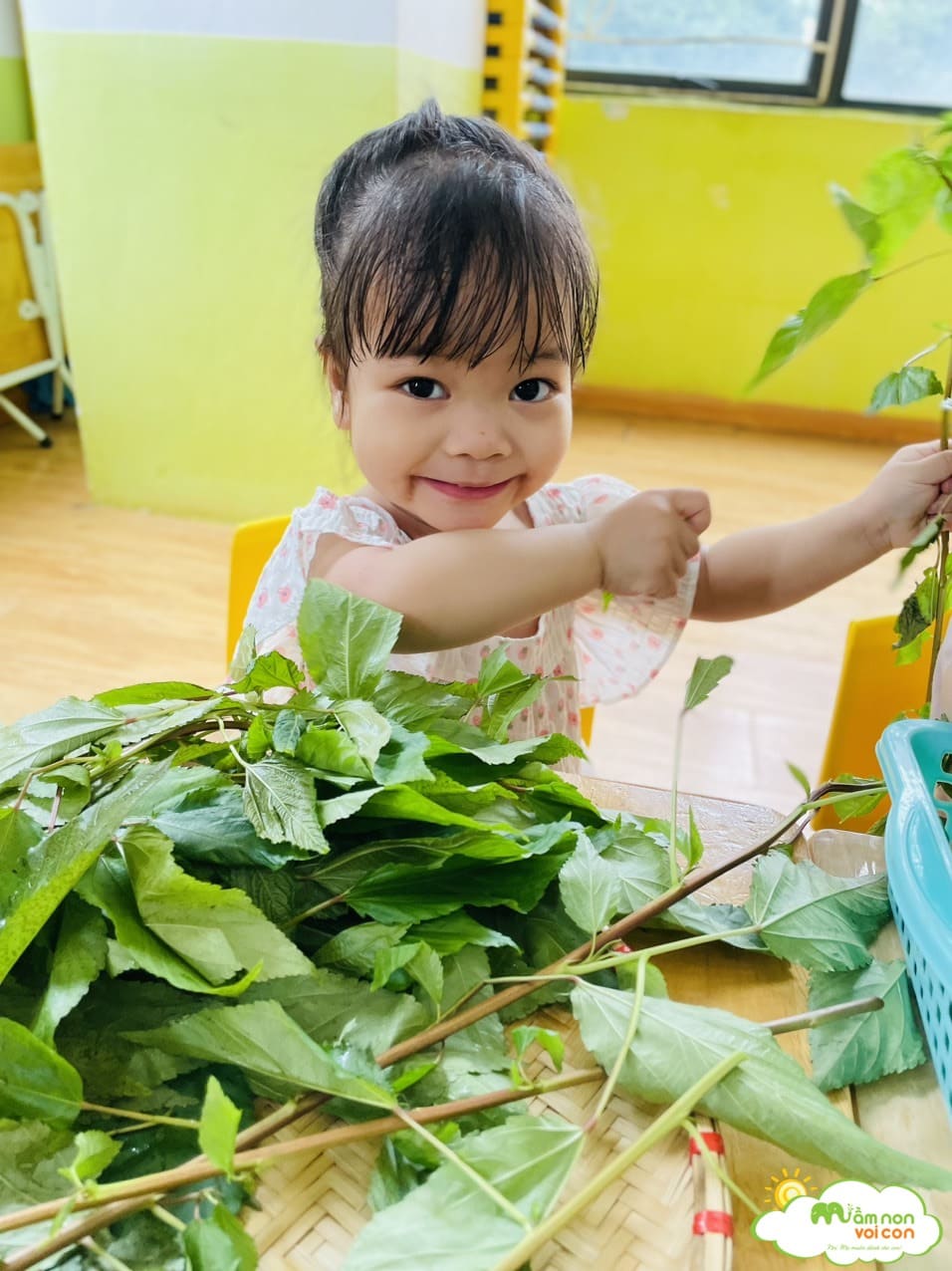 TÌM HIỂU MỘT SỐ LOẠI RAU CỦ MÙA HÈ - TRƯỜNG MẦM NON VOI CON