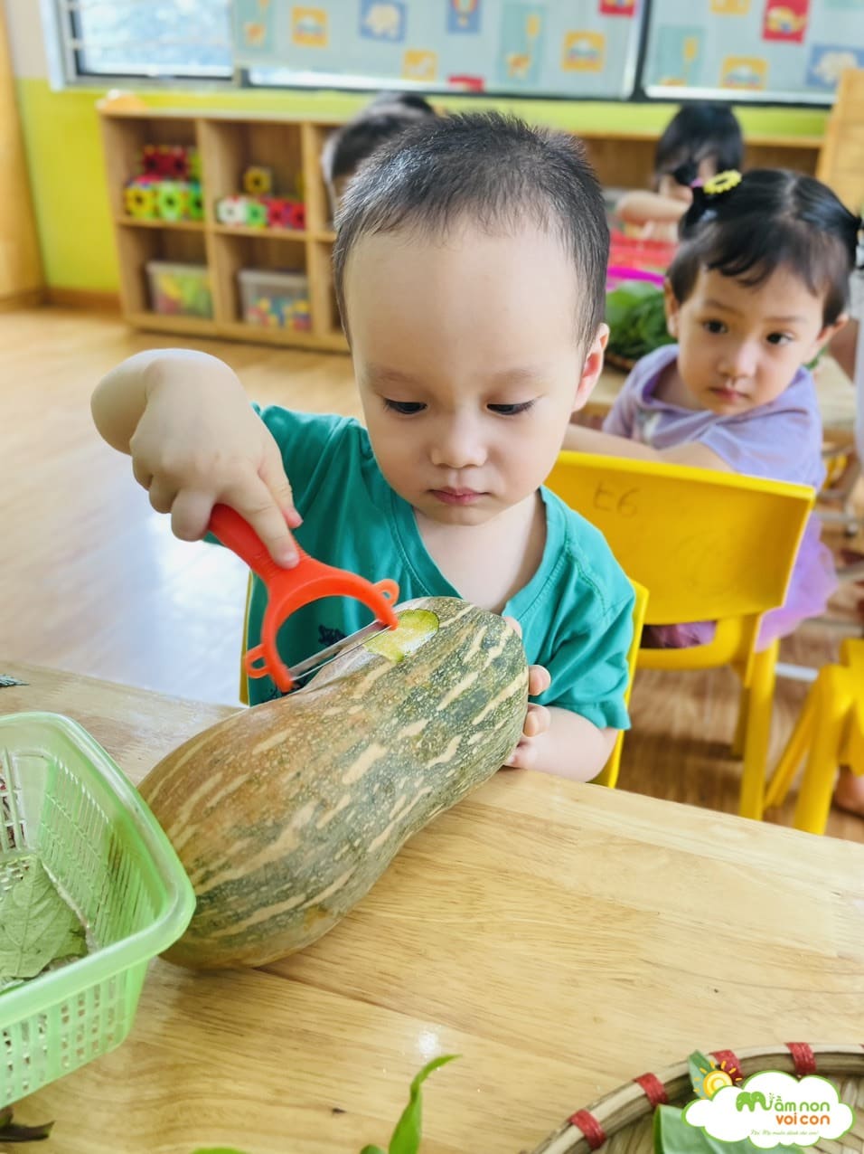 TÌM HIỂU MỘT SỐ LOẠI RAU CỦ MÙA HÈ - TRƯỜNG MẦM NON VOI CON