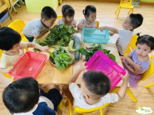 TÌM HIỂU MỘT SỐ LOẠI RAU CỦ MÙA HÈ - TRƯỜNG MẦM NON VOI CON