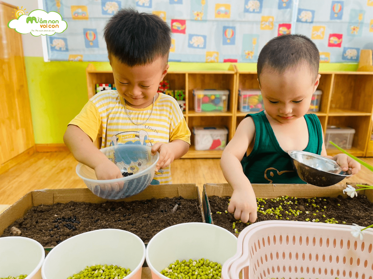 KHÁM PHÁ: SỰ NẢY MẦM CỦA GIÁ ĐỖ - TRƯỜNG MẦM NON VOI CON