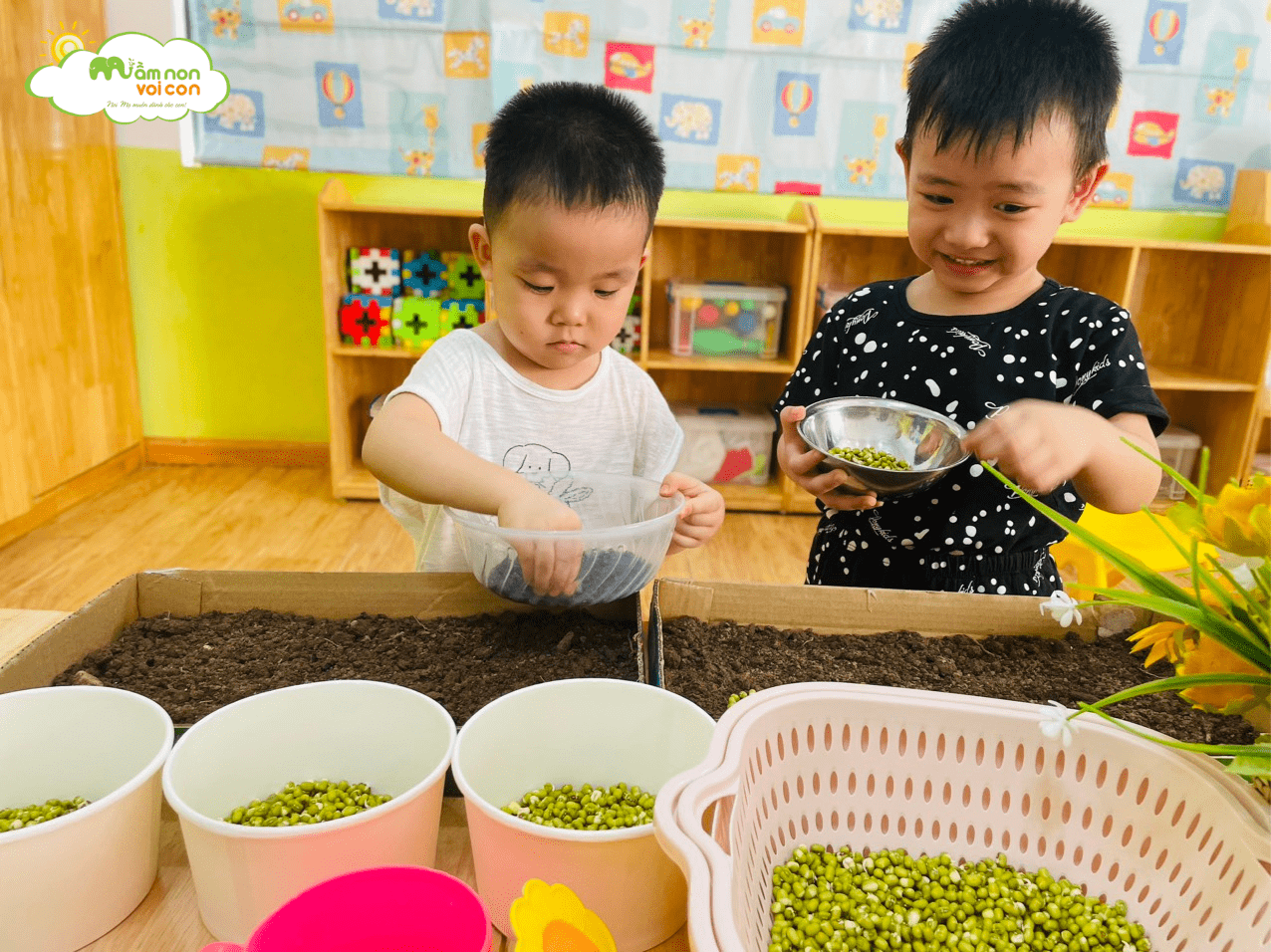 KHÁM PHÁ: SỰ NẢY MẦM CỦA GIÁ ĐỖ - TRƯỜNG MẦM NON VOI CON