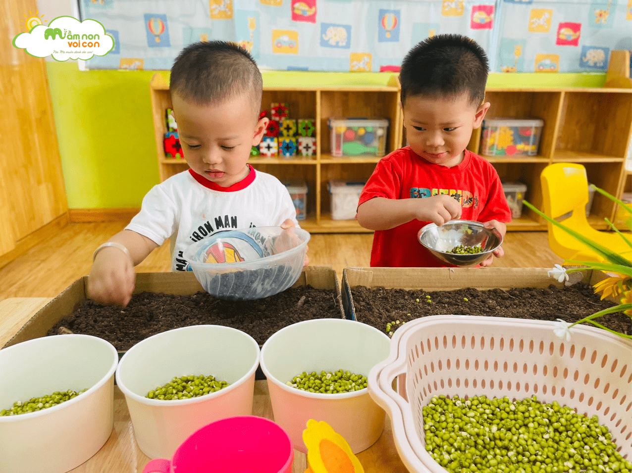 KHÁM PHÁ: SỰ NẢY MẦM CỦA GIÁ ĐỖ - TRƯỜNG MẦM NON VOI CON